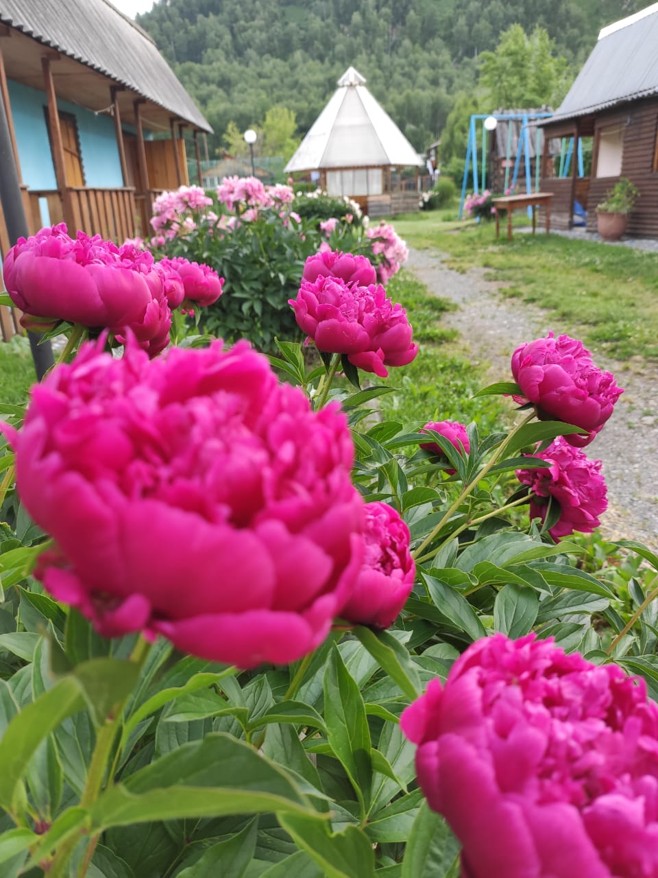 Фото На Радужном берегу