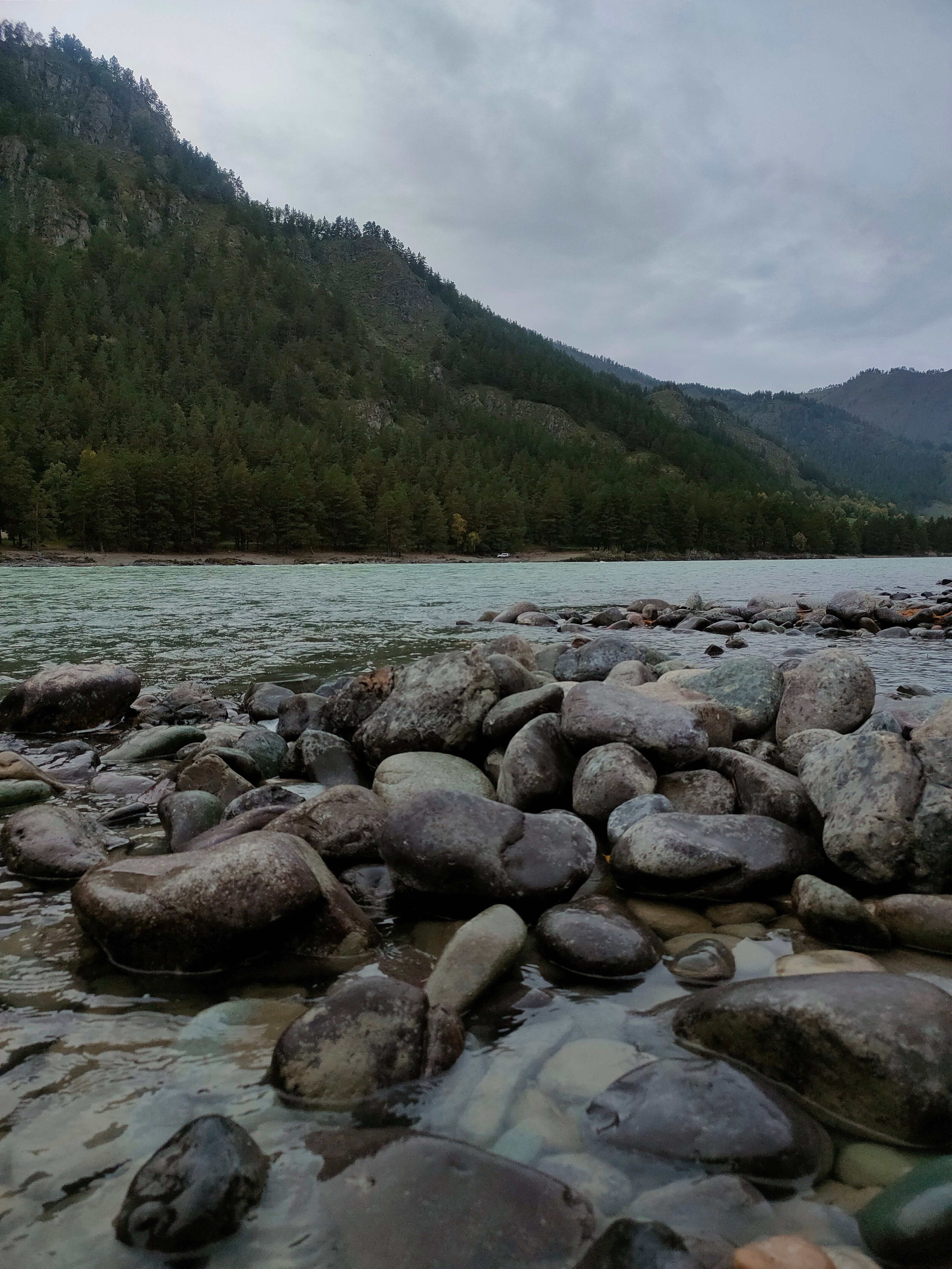 Фото Алтерия