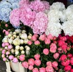 Salon tsvetov i podarkov Buketori (Simferopolskaya Street, 51с2), flower shop