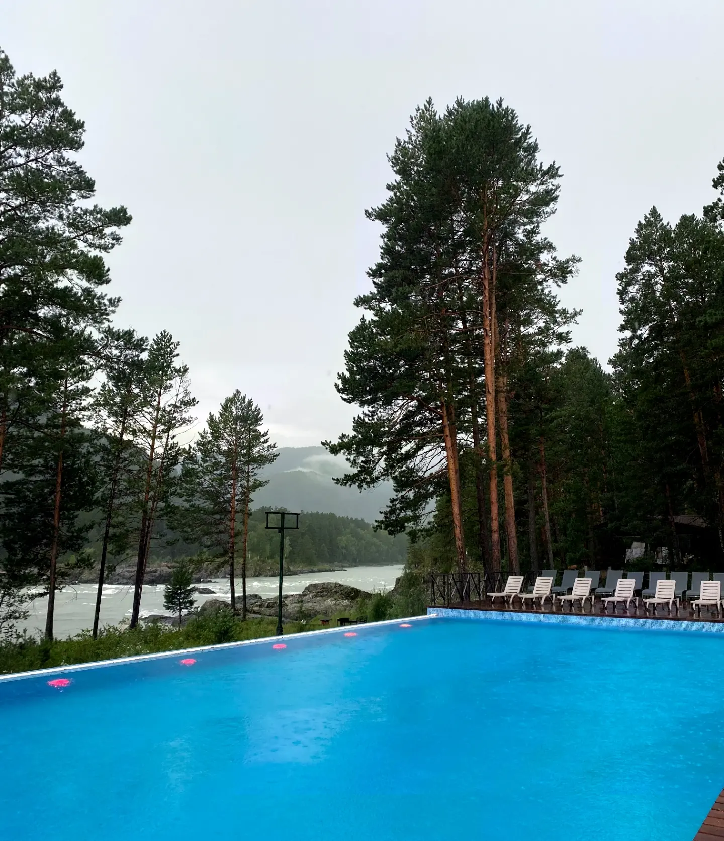 Фото Кедровый остров