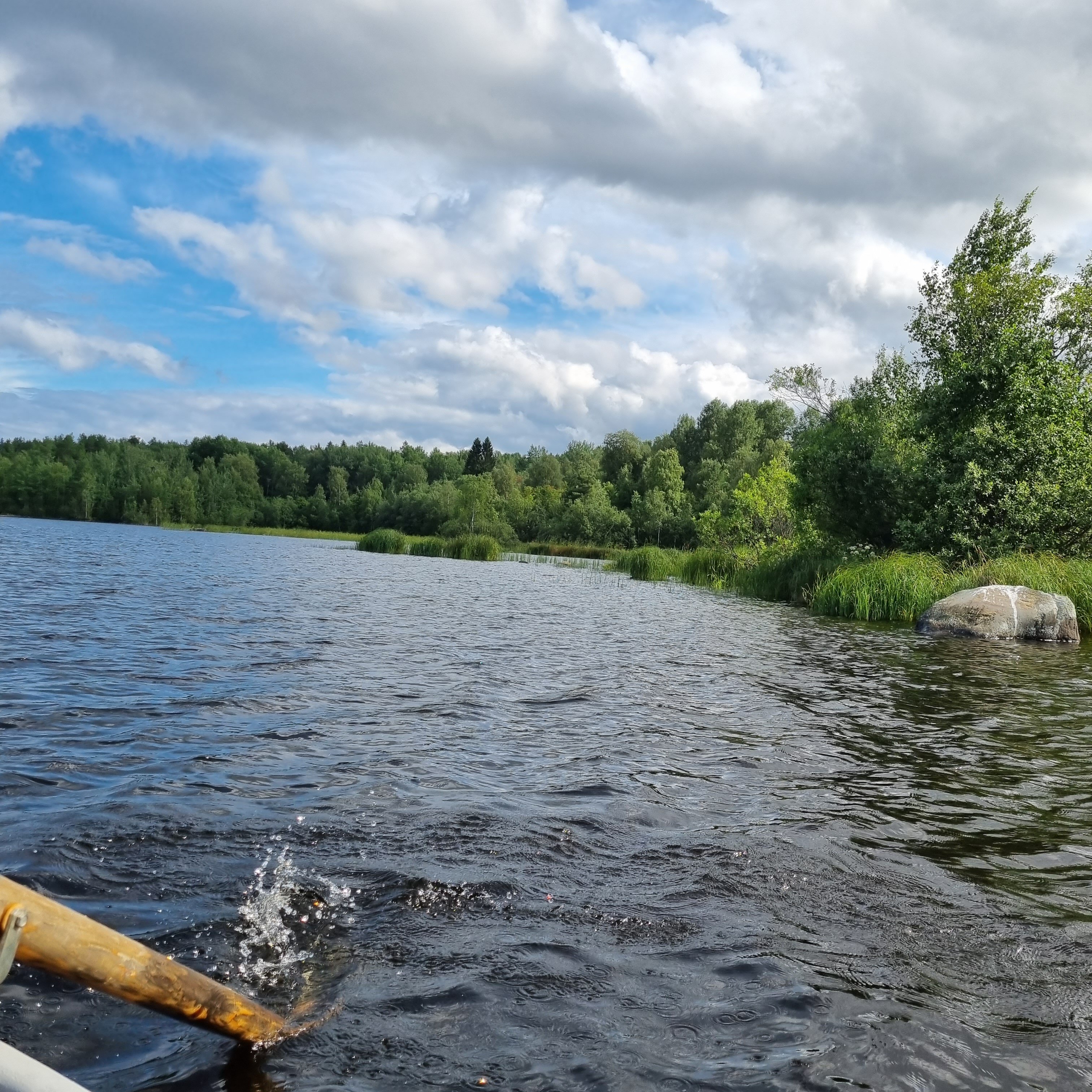 Фото Медовое ранчо