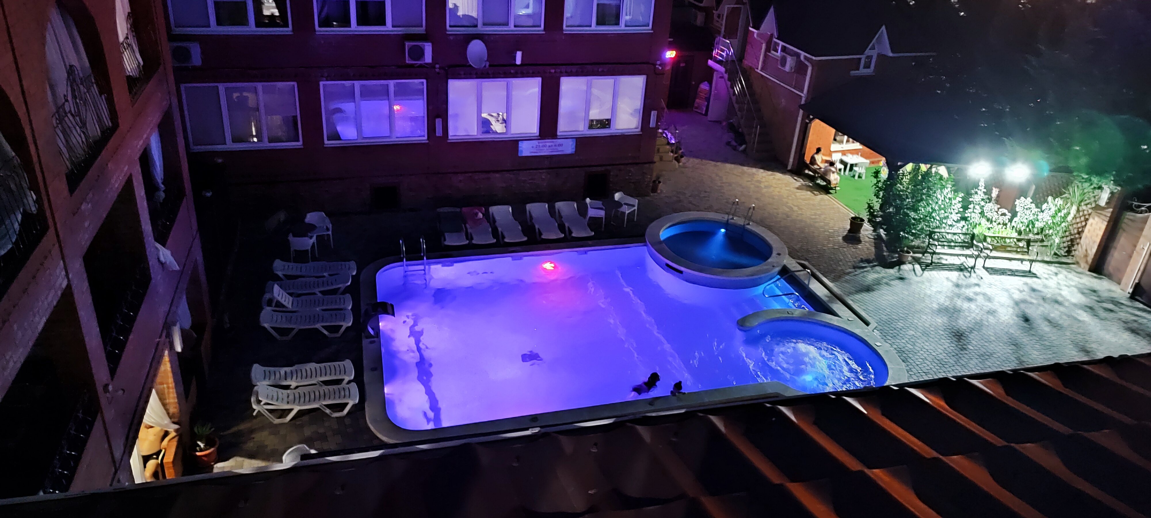 Фото Багира