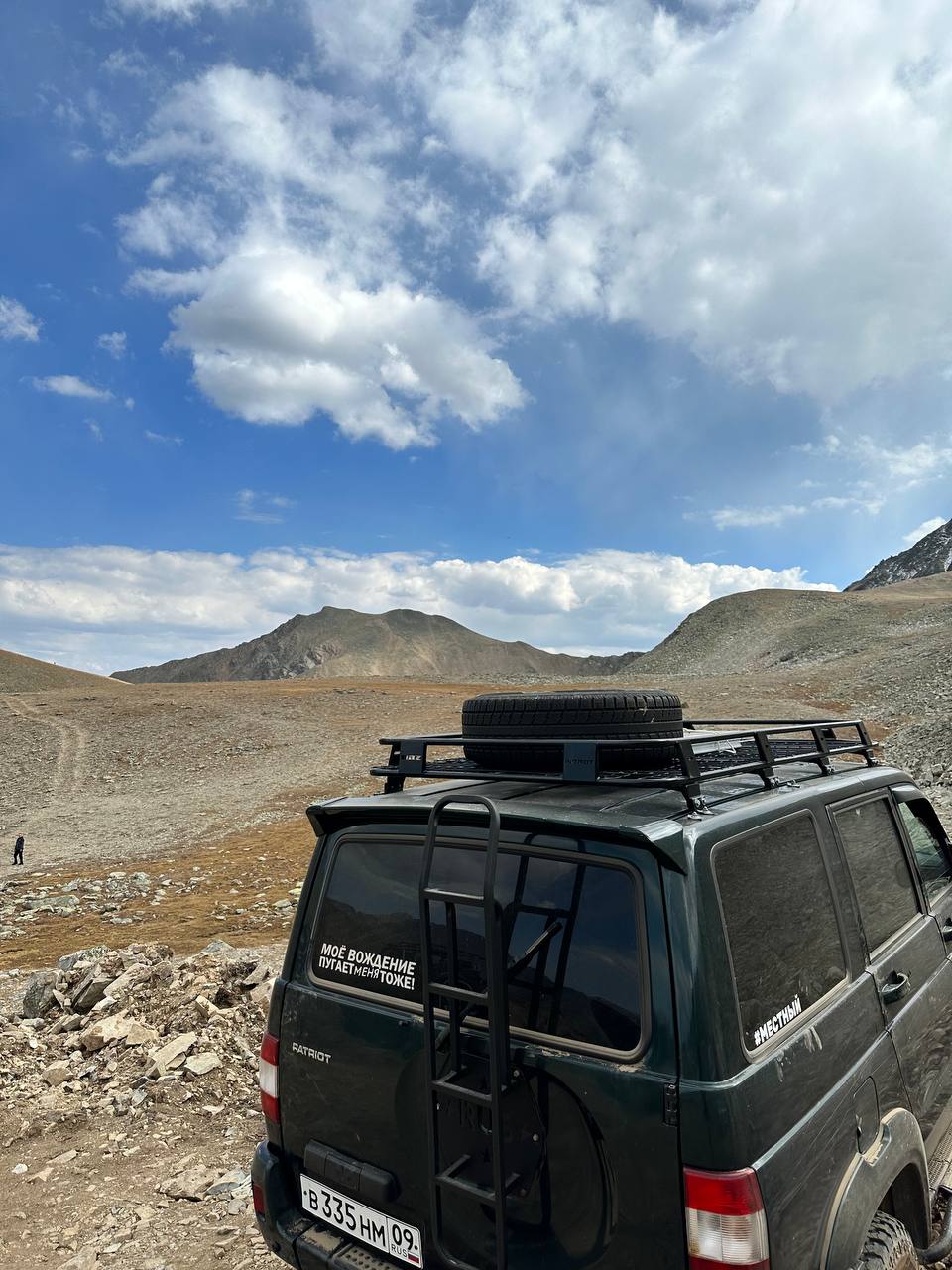 Фото Шафран