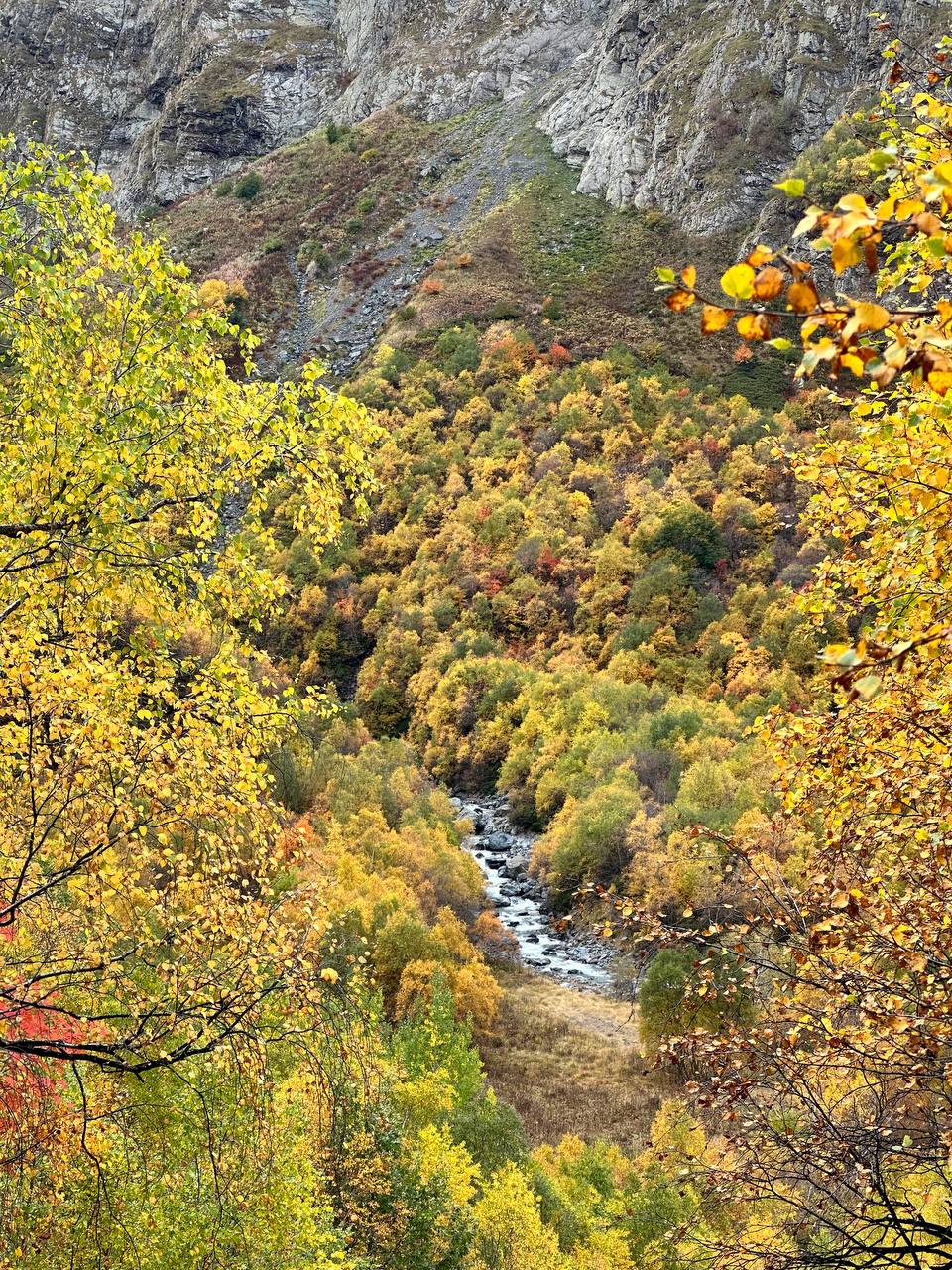 Фото Домик 09