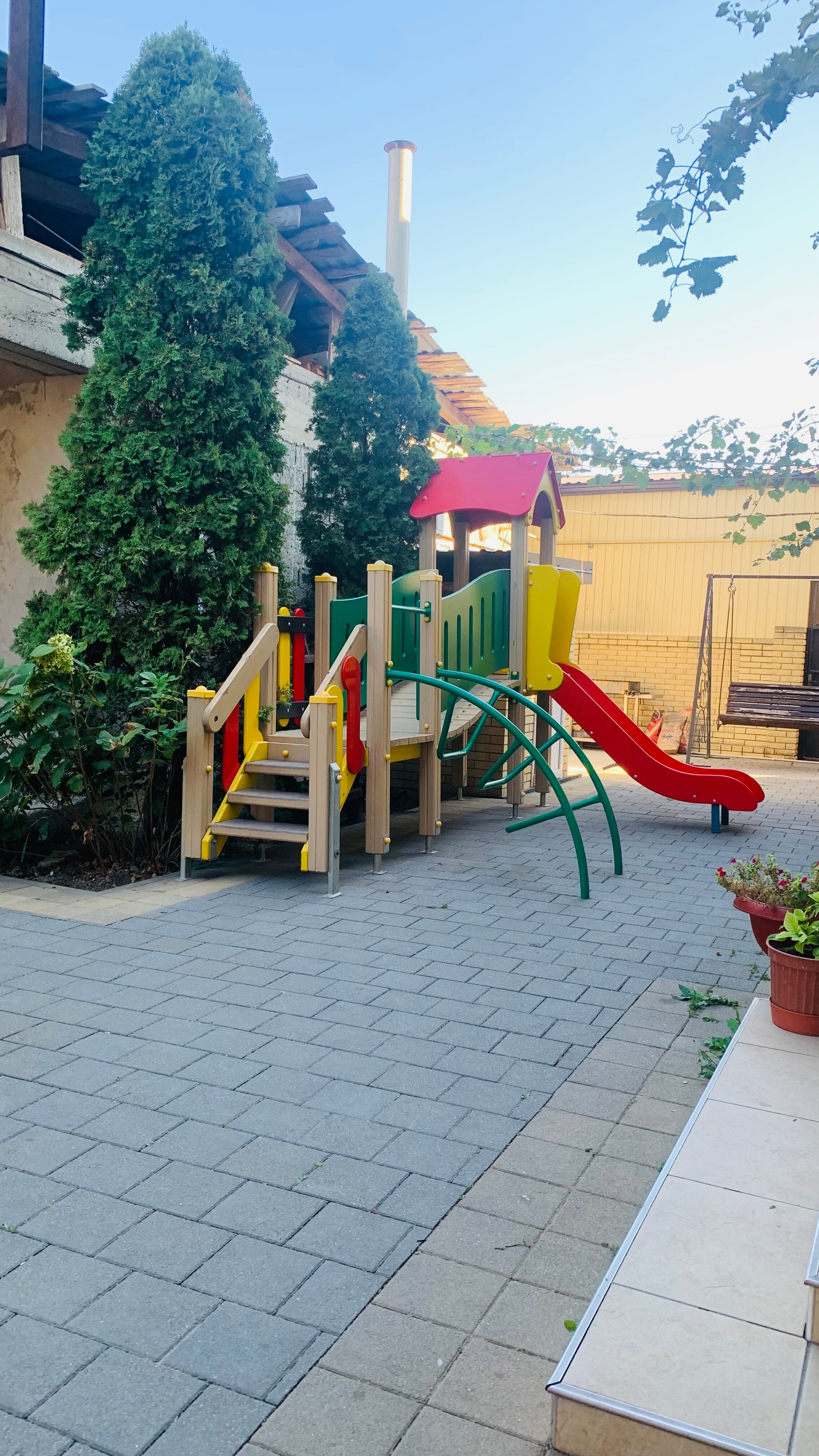 Фото Альфа Костас