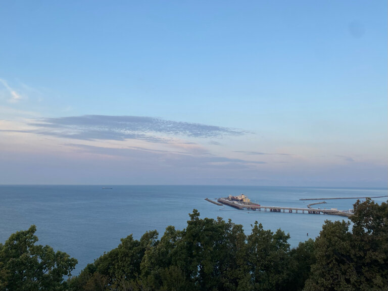 Фото Багира