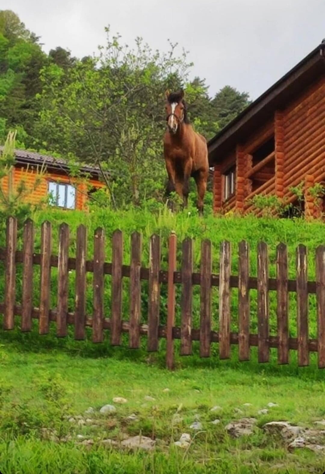 Фото Этнический дом Высота