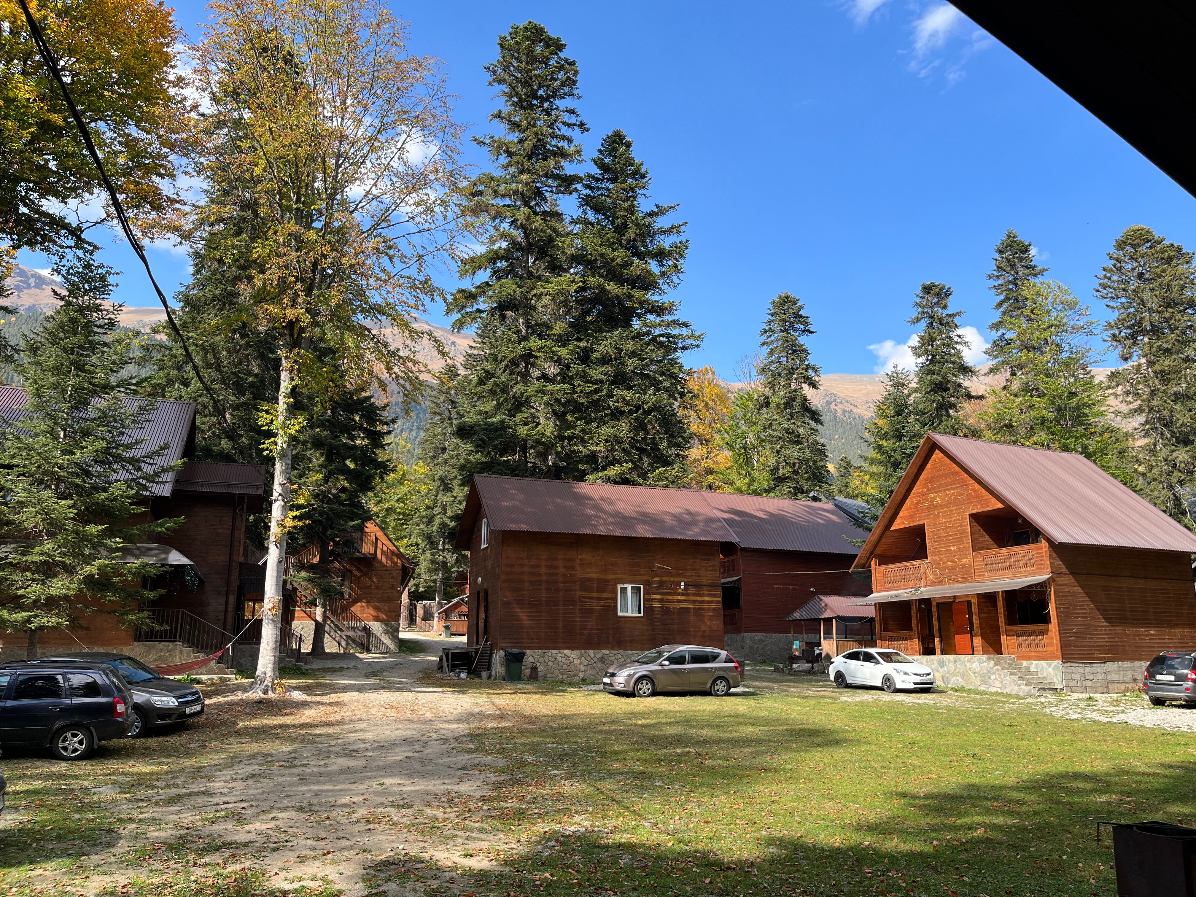 Фото Forest Yard