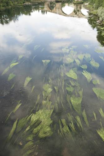 Фото Carris Cardenal Quevedo Hotel