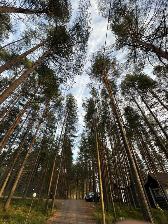 Фото Карелия Медвежка