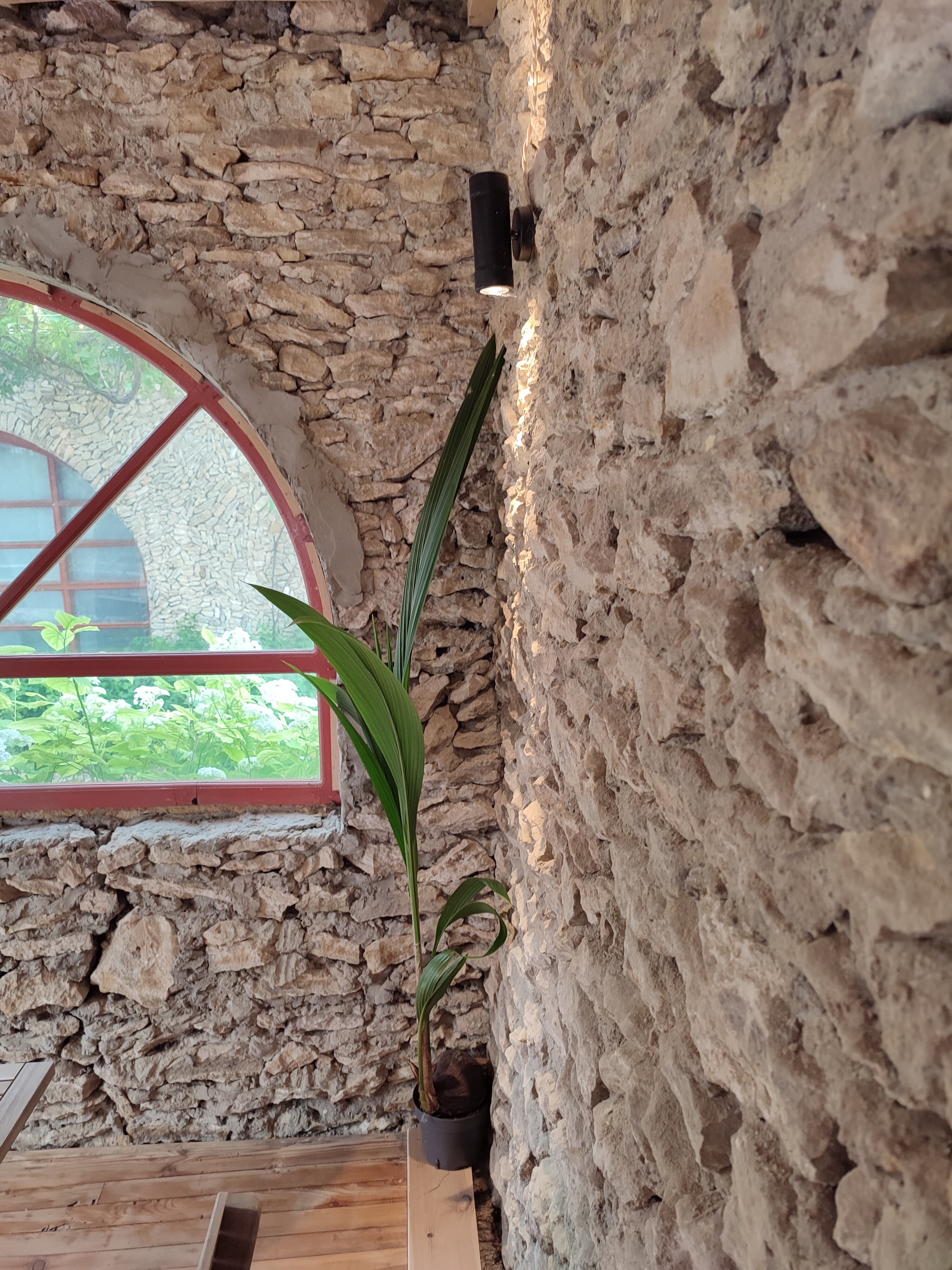 Фото Тихий пруд