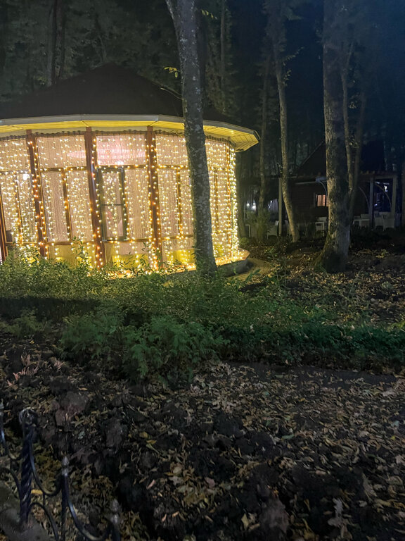 Фото Лесная поляна