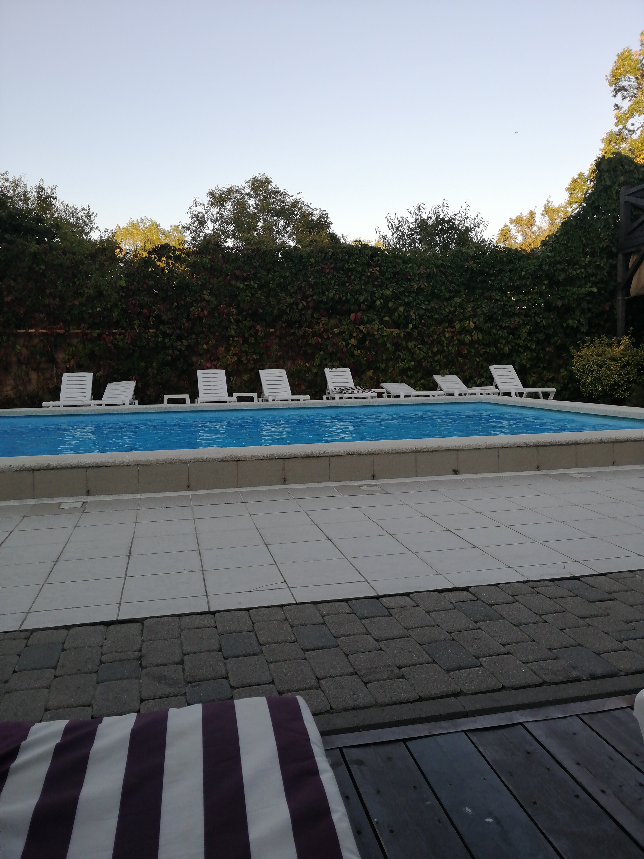 Фото Глориос