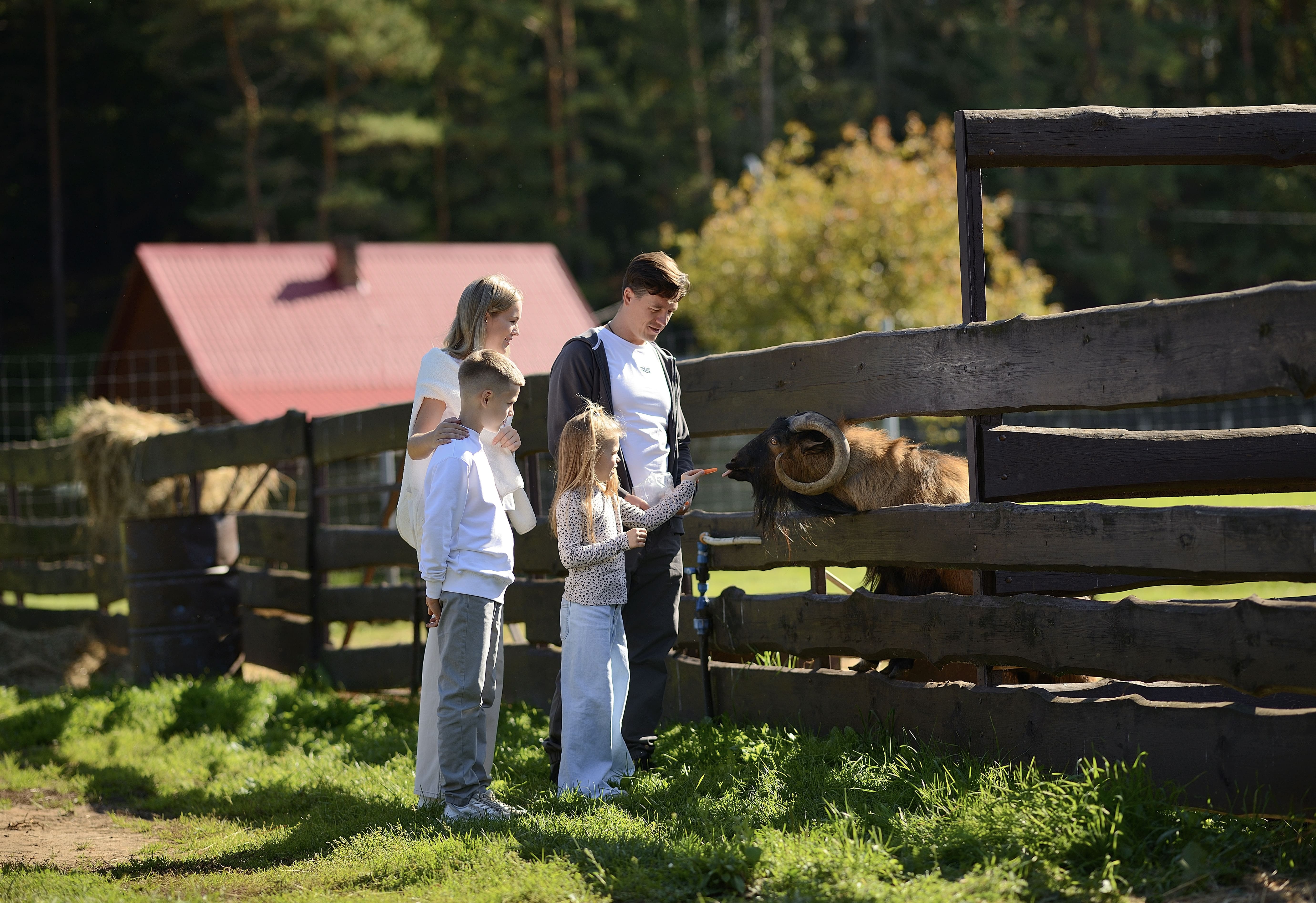 Фото Красный Бор