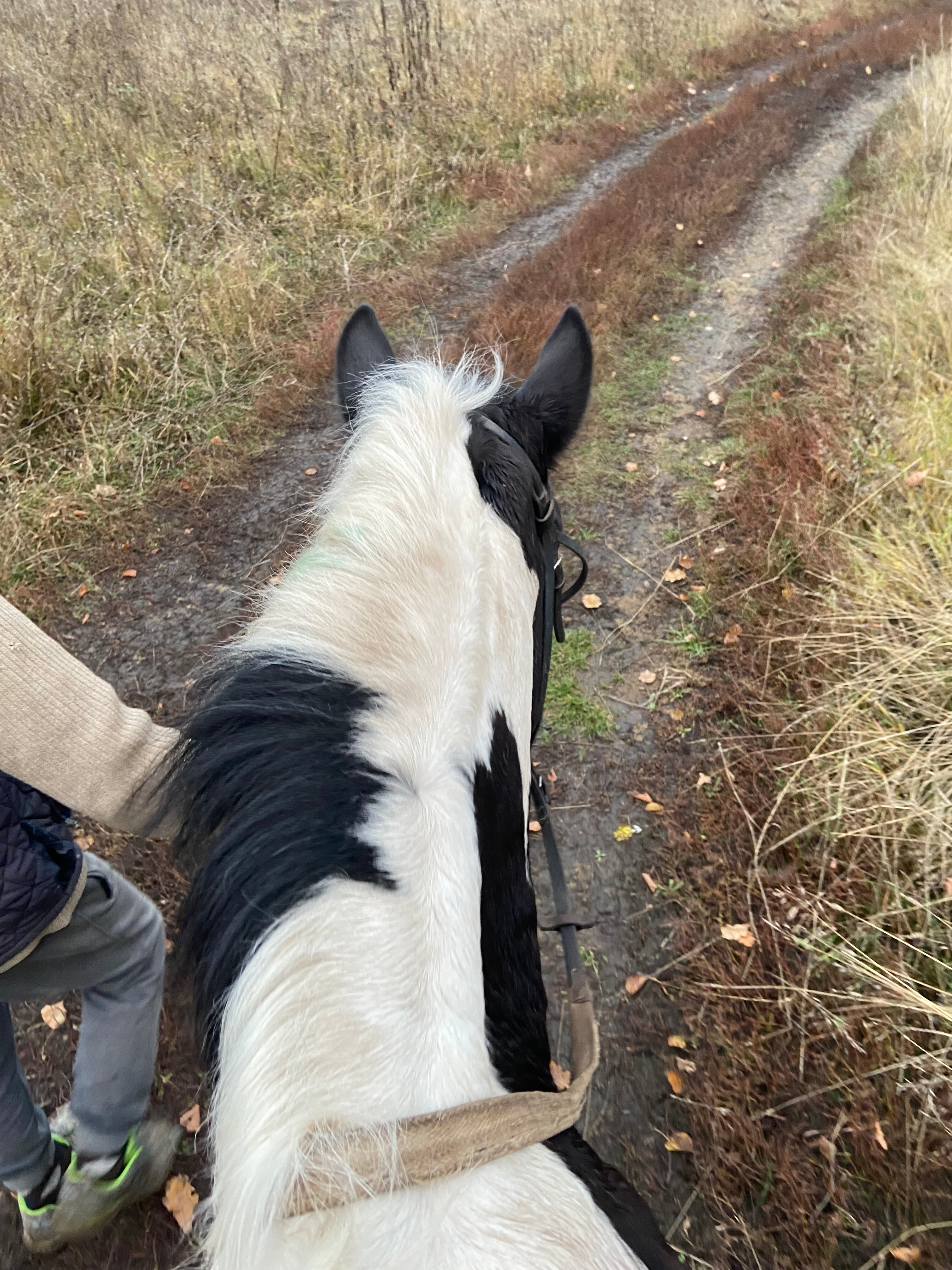 Фото Шалаш у озера