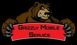 Grizzly Service (Lyusinovskaya Street, 4), reparación de teléfonos