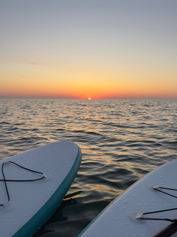 Фото Фламинго