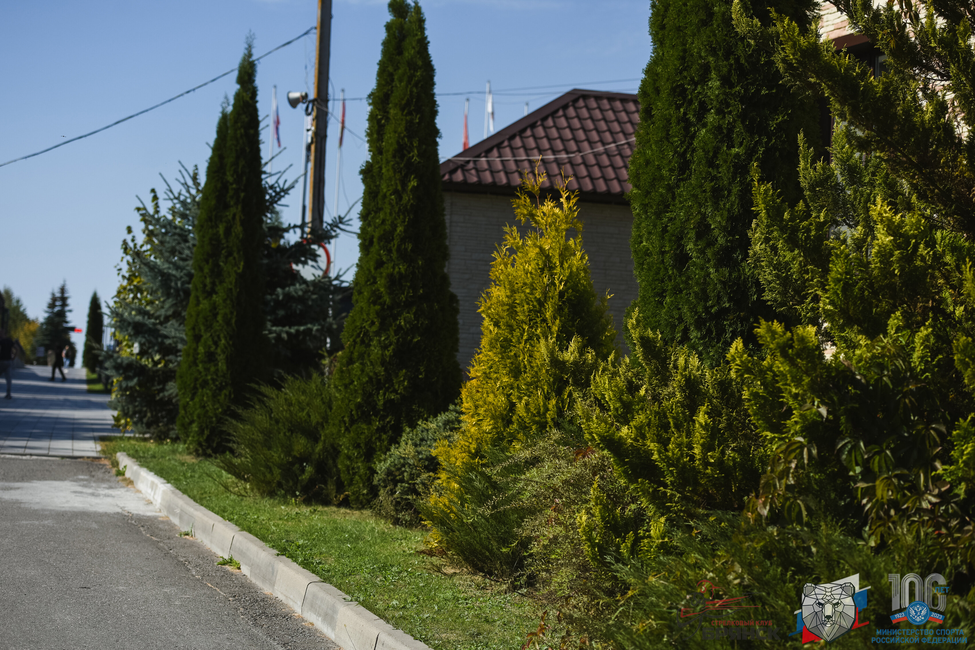 Фото Елисеевы поля