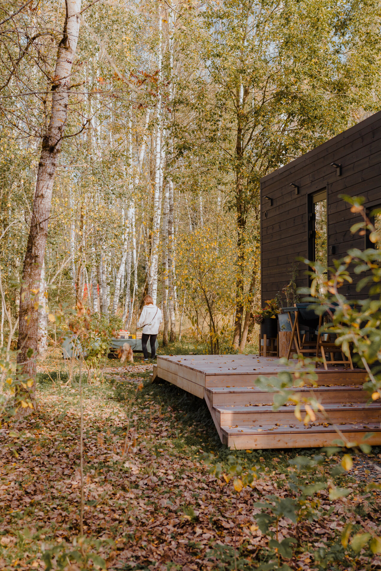 Фото Д Дача