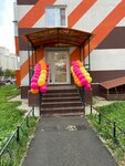 Veseliy sharik (Visherskaya Street, 3к2), goods for holiday