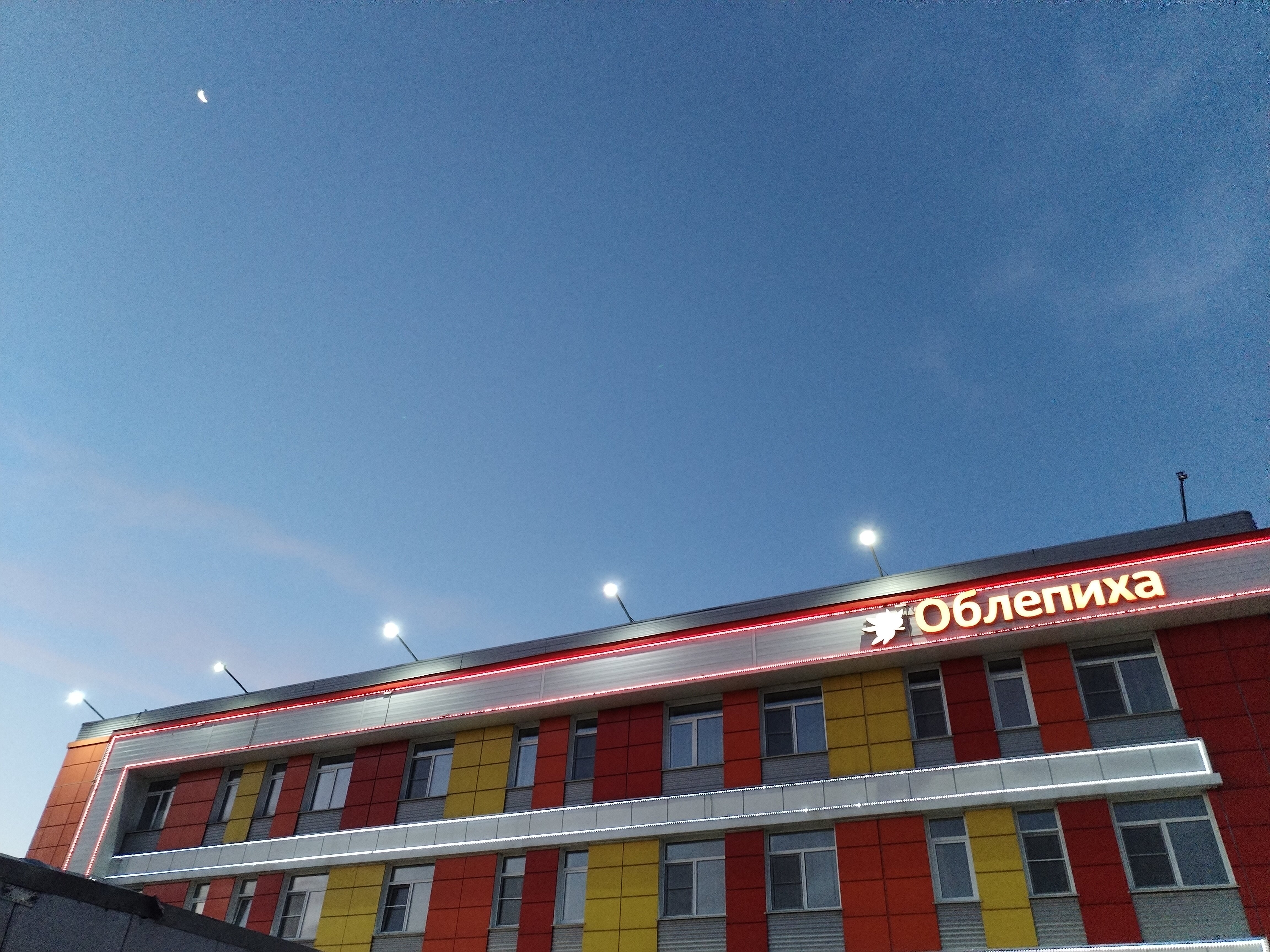 Фото Облепиха