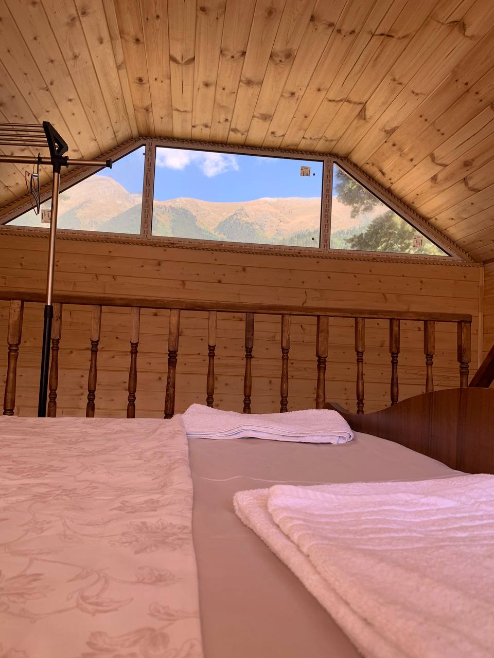 Фото 3 сосны