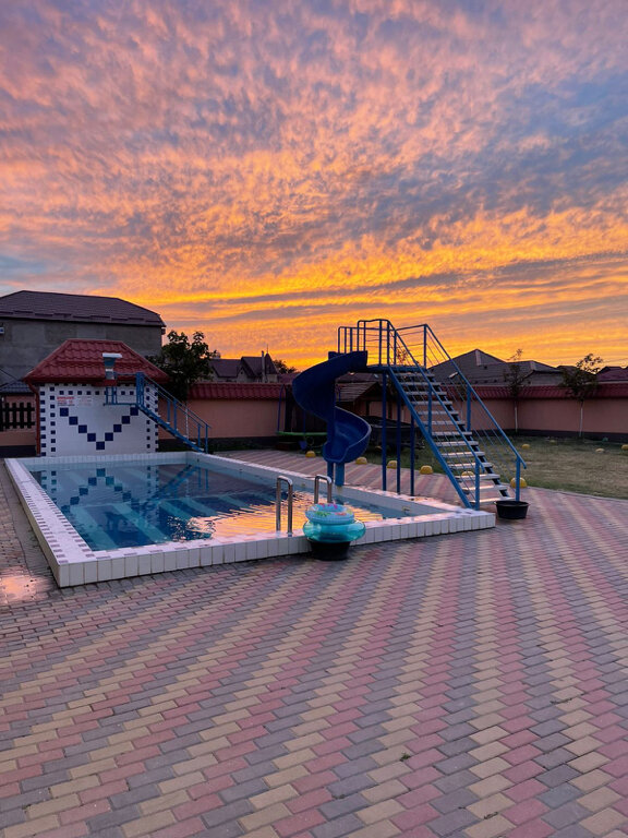 Фото Фламинго