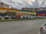 Восточная черепаха (rabochiy posyolok Krasnoobsk, Zapadnaya ulitsa, 200), tienda de regalos y souvenirs