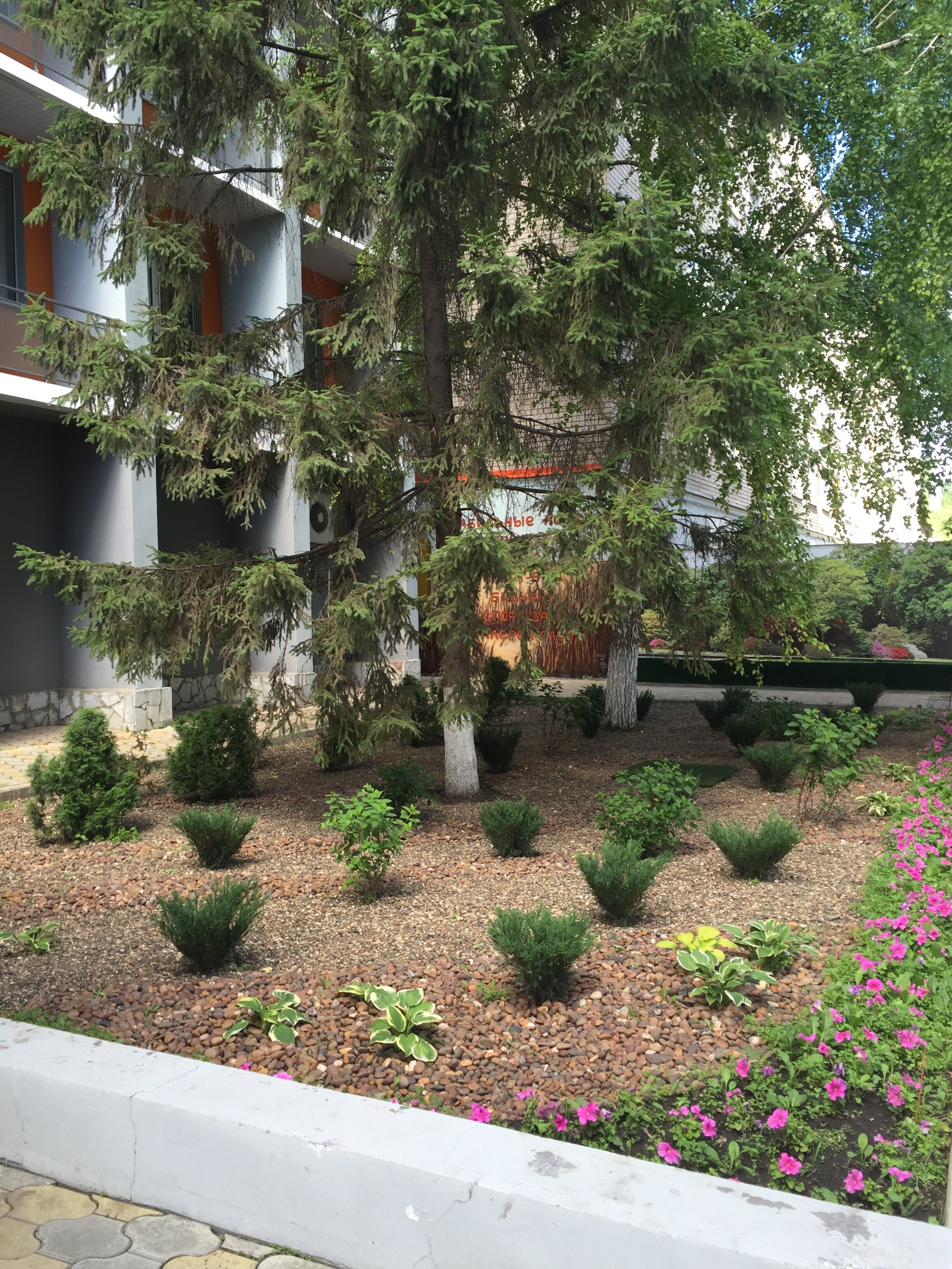 Фото Сафари