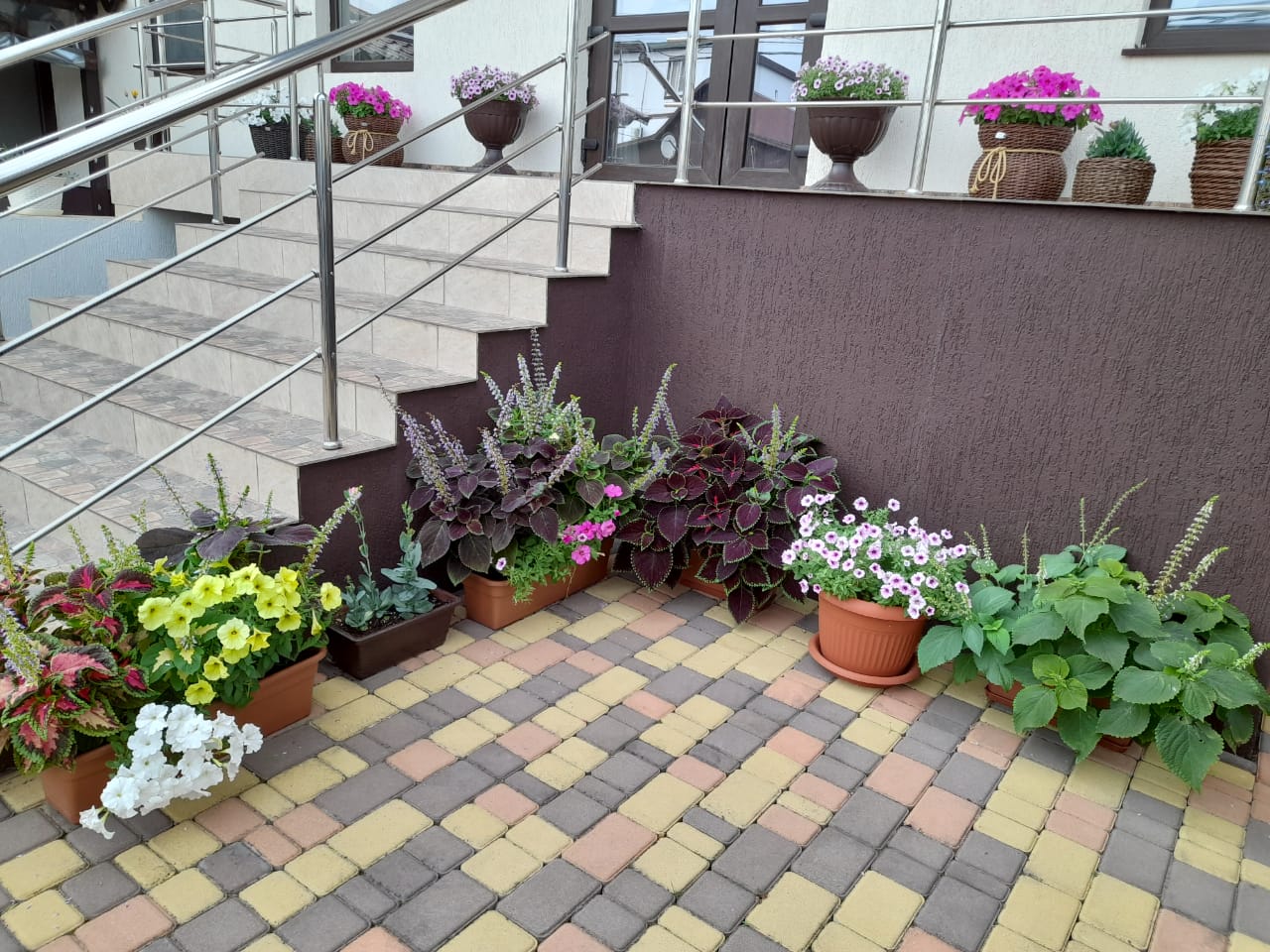 Фото Мишелье