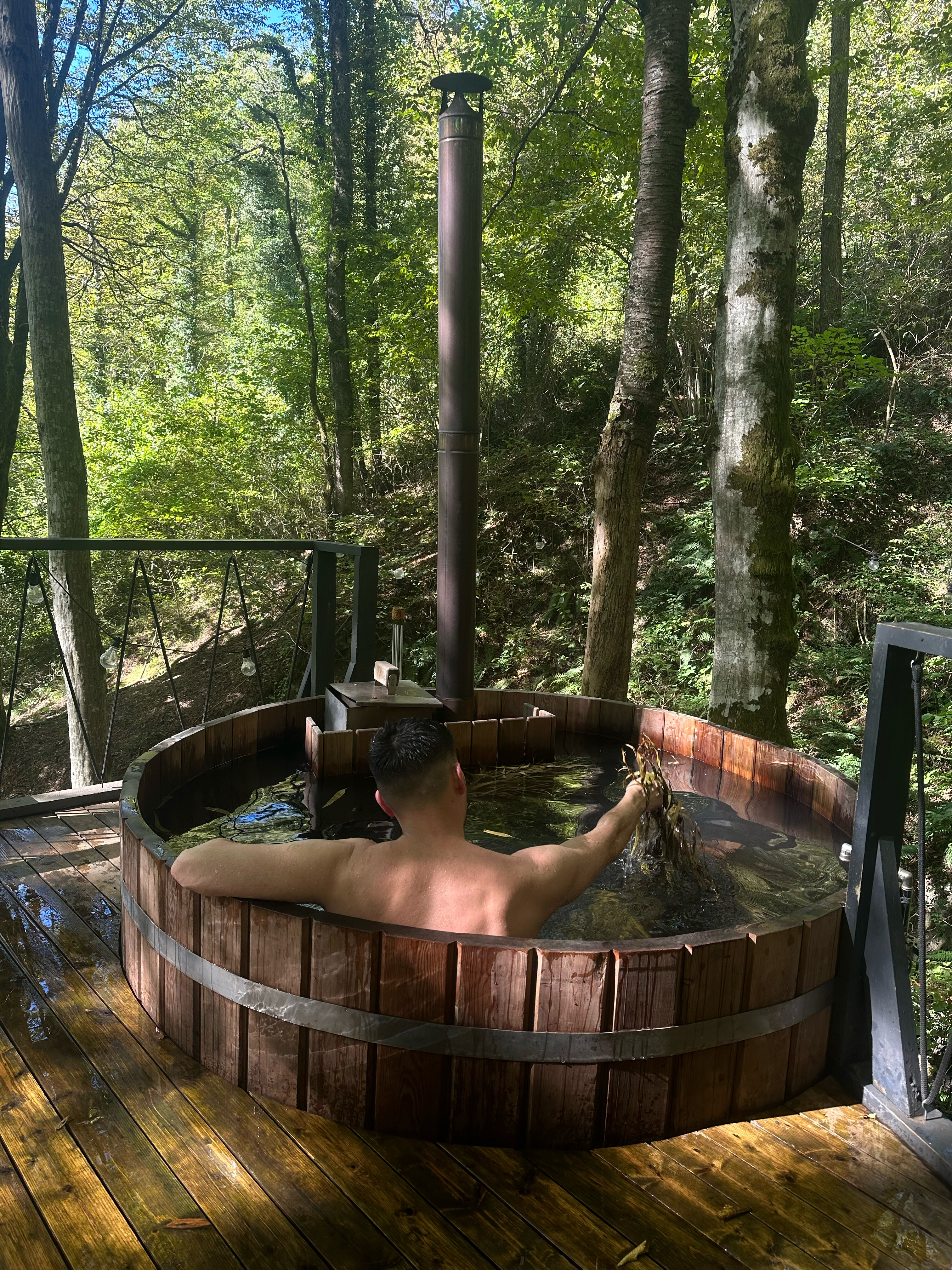 Фото Дзен Поляна