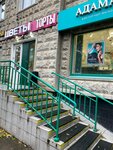 Цветы и подарки (Mitinskaya Street, 44), flower shop