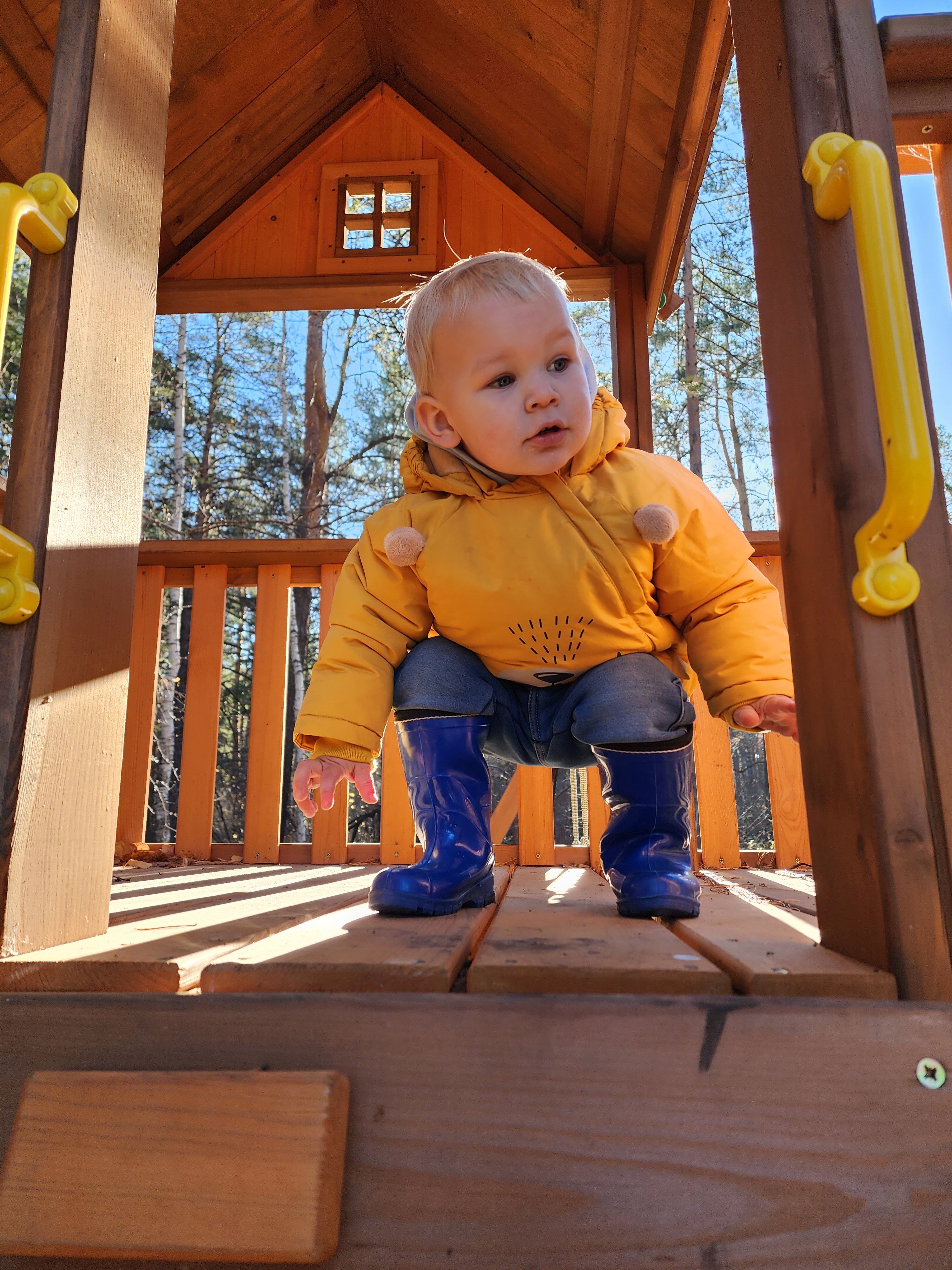 Фото Хворост