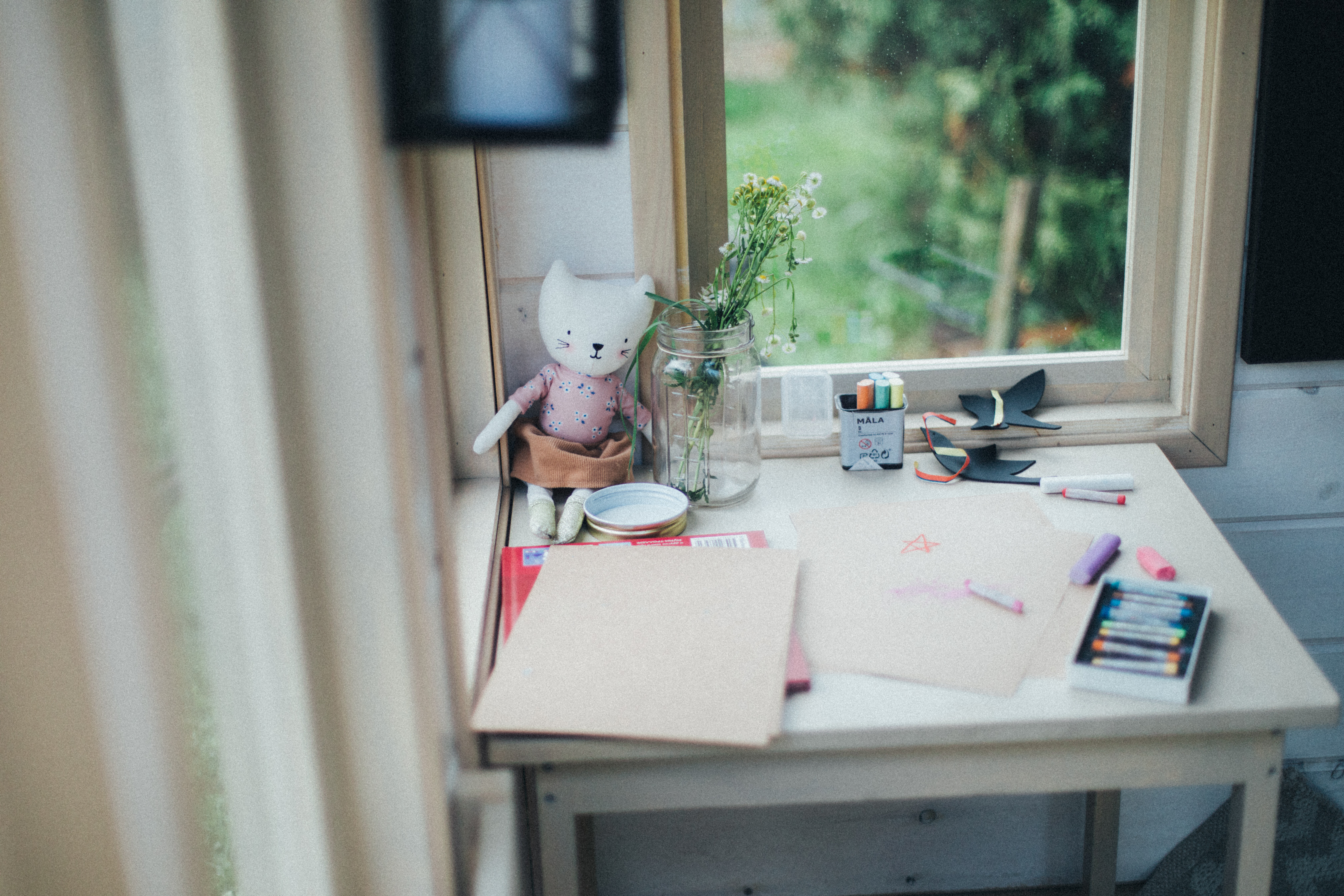 Фото Тополя