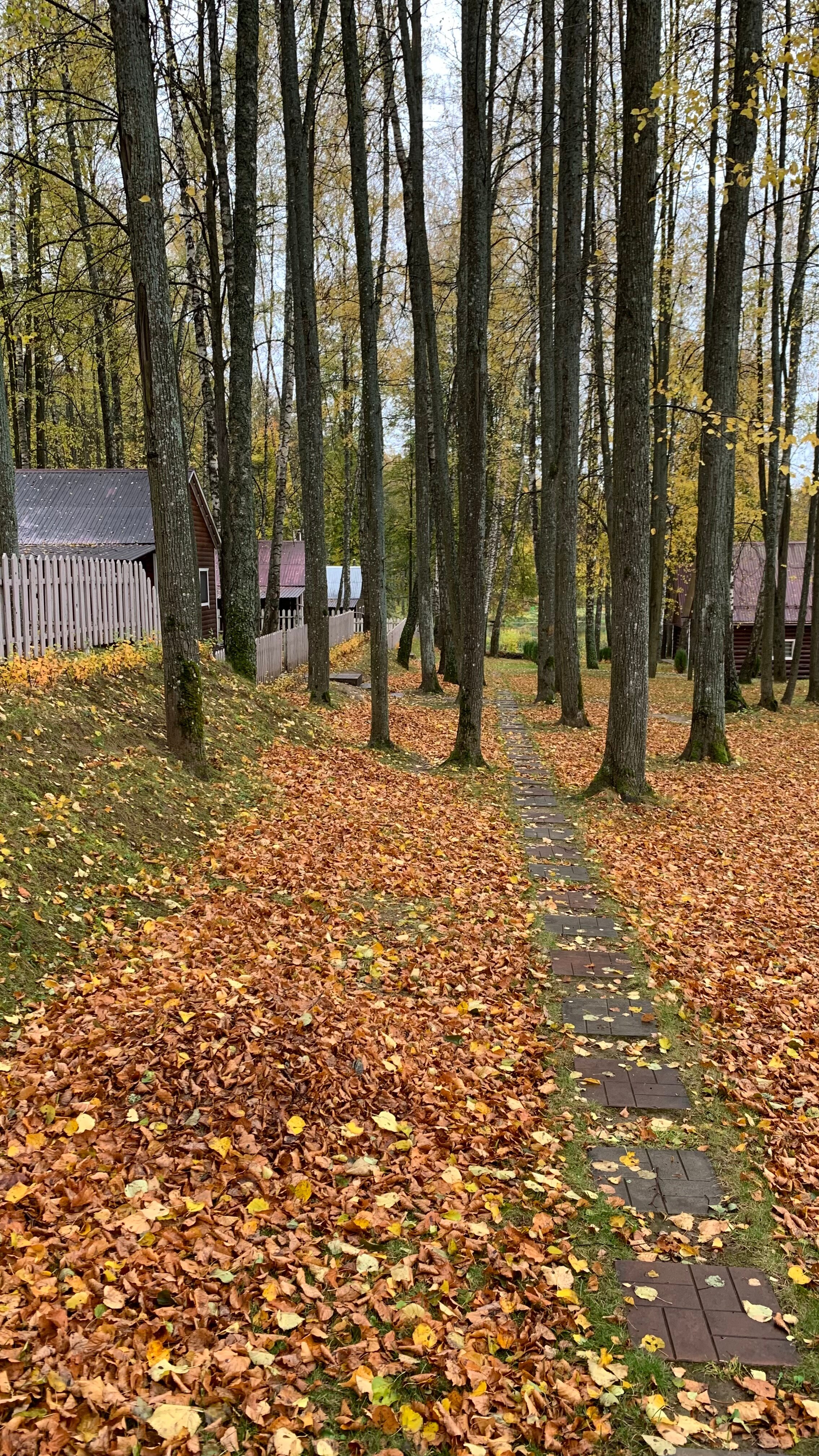 Фото Ильинский пляж