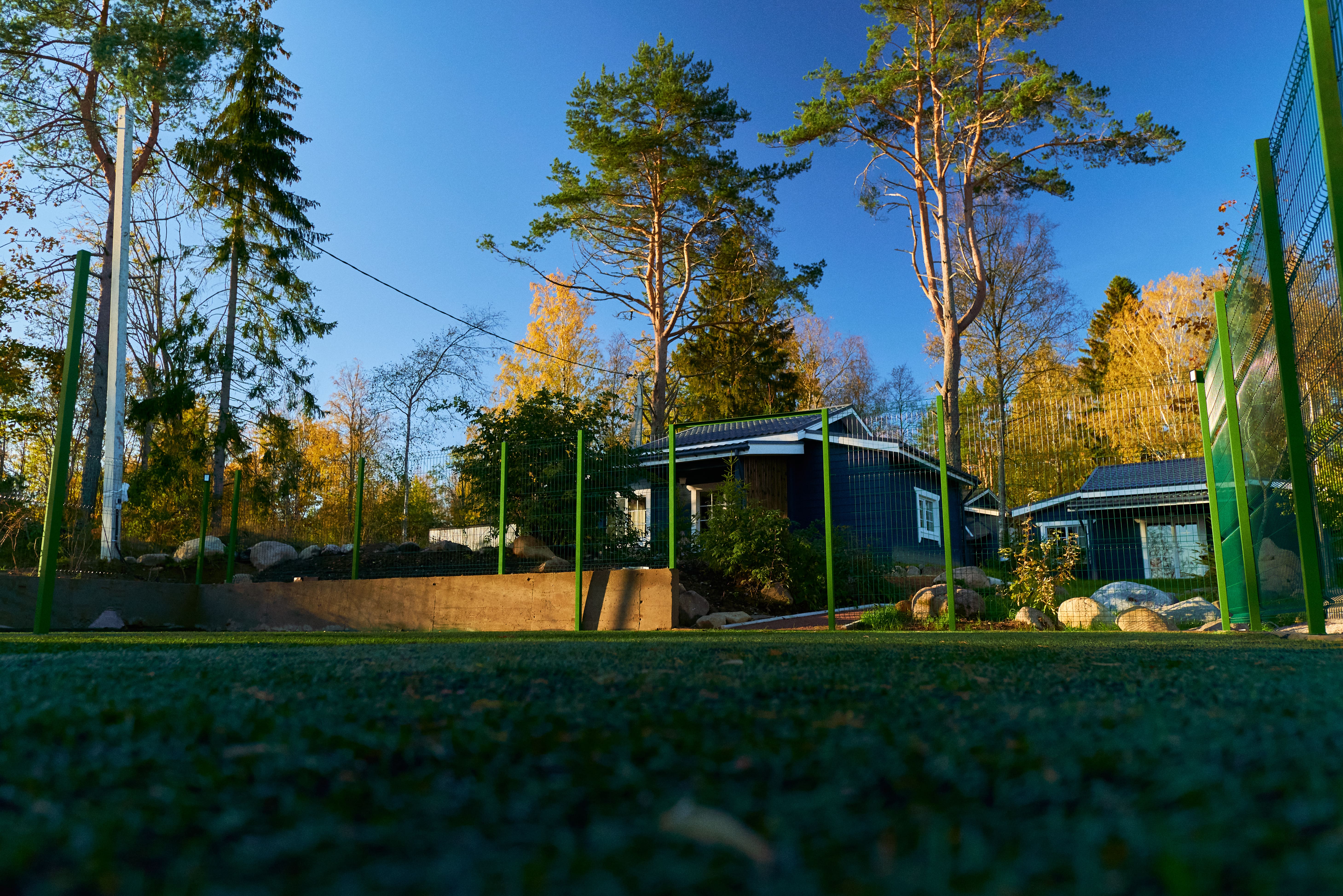 Фото Талони