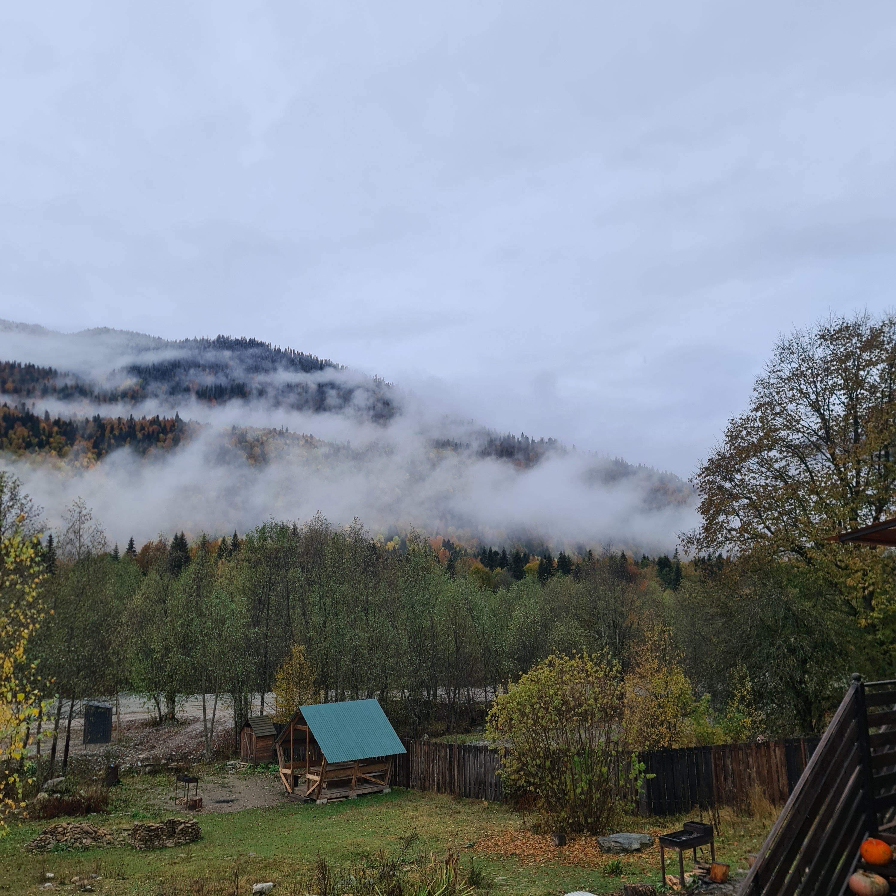 Фото ПихтаHouse