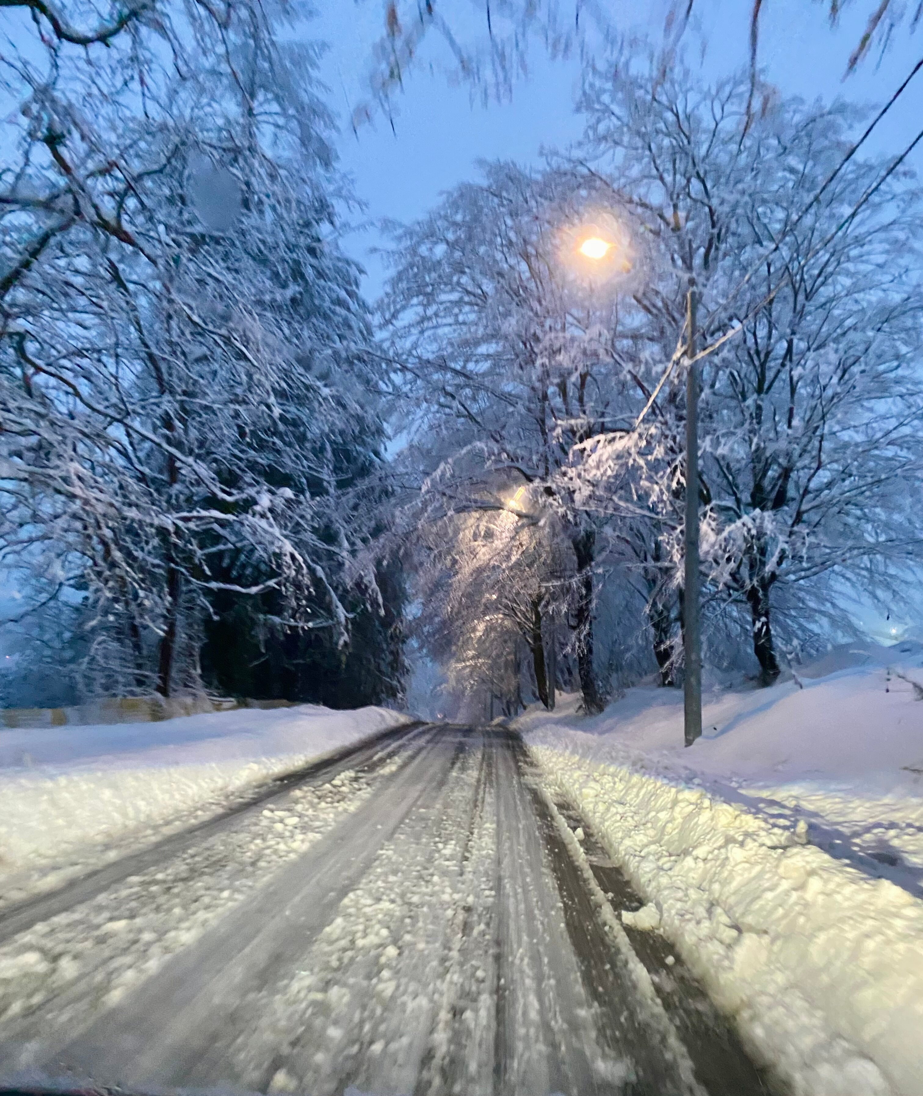 Фото Панорама парк