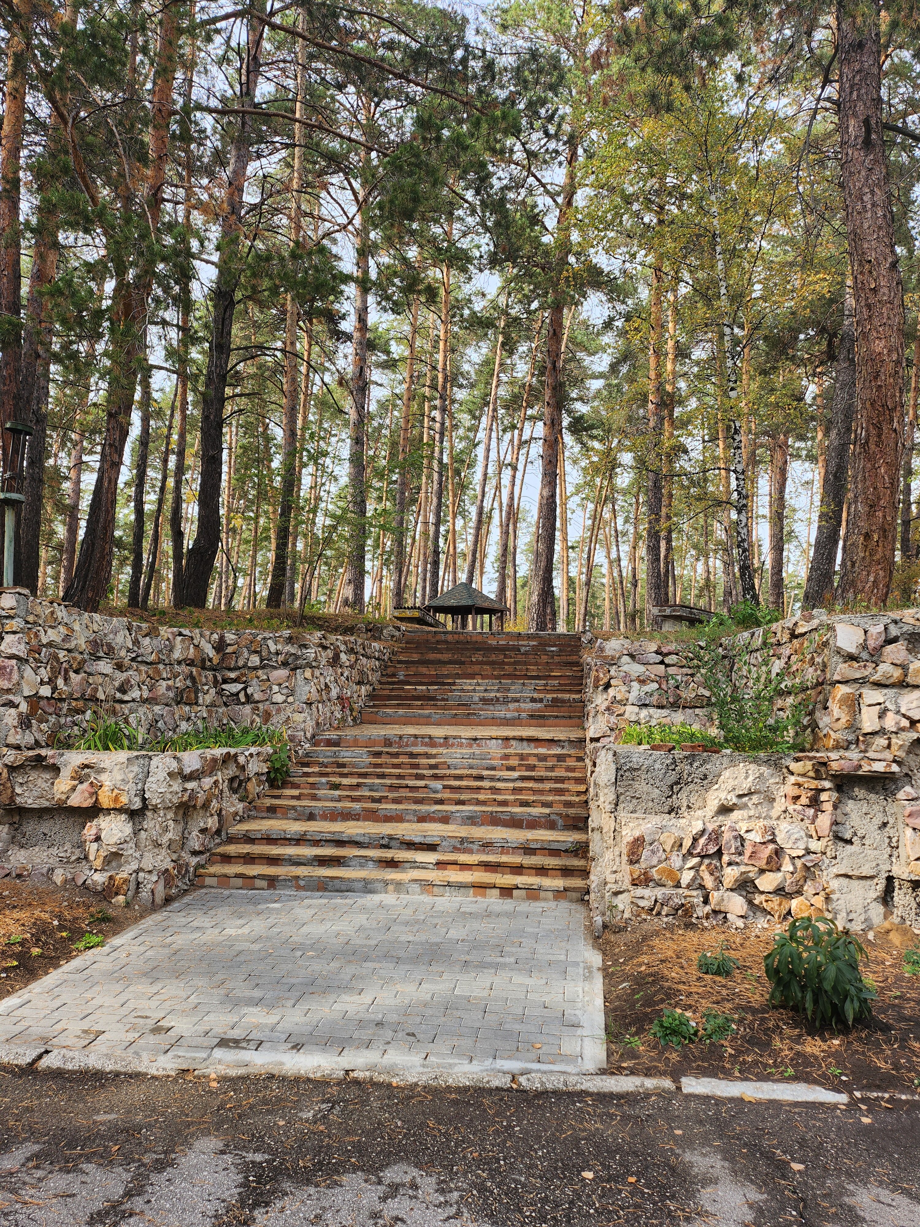 Фото Сосновый бор