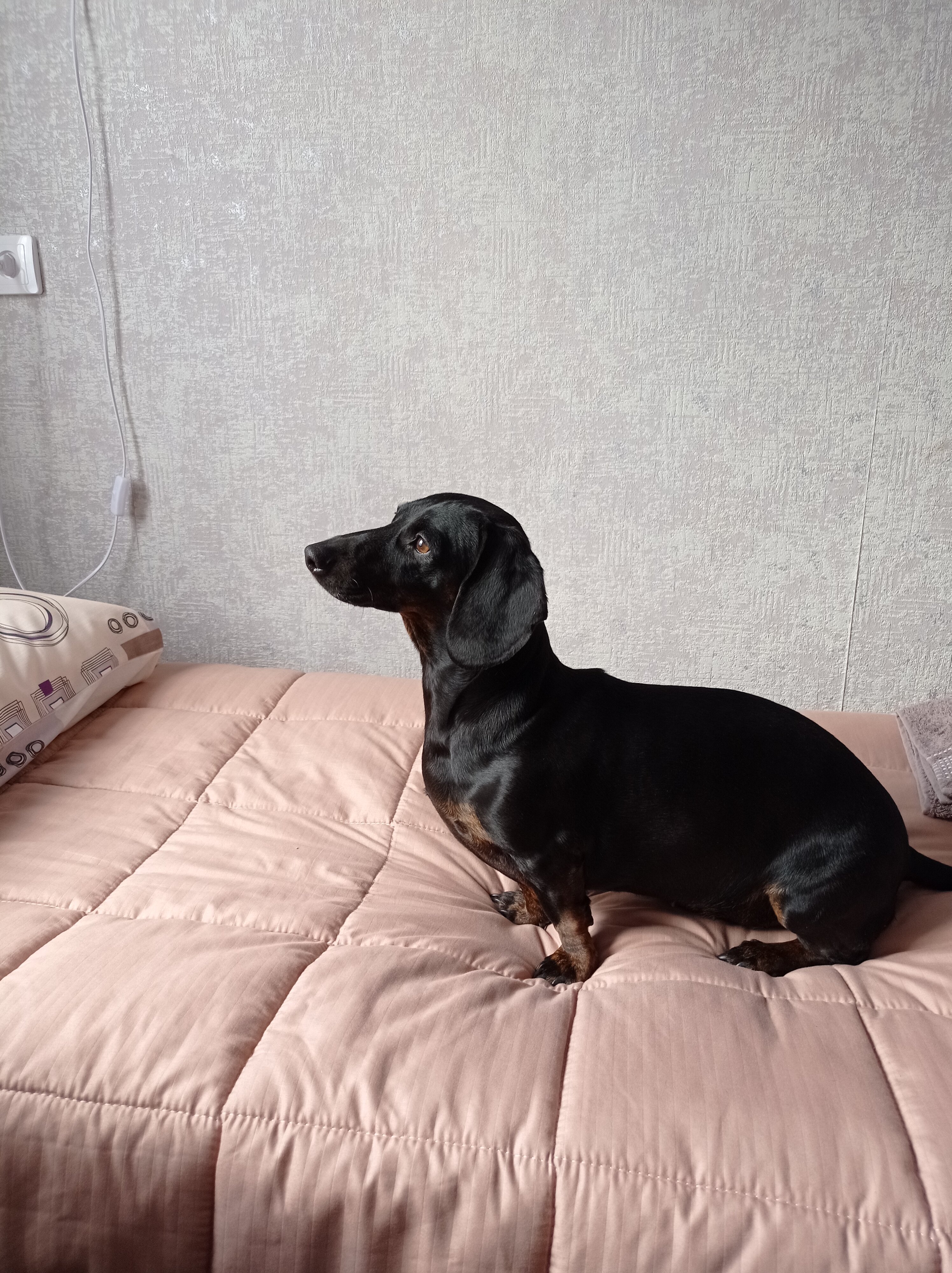 Фото Сказка