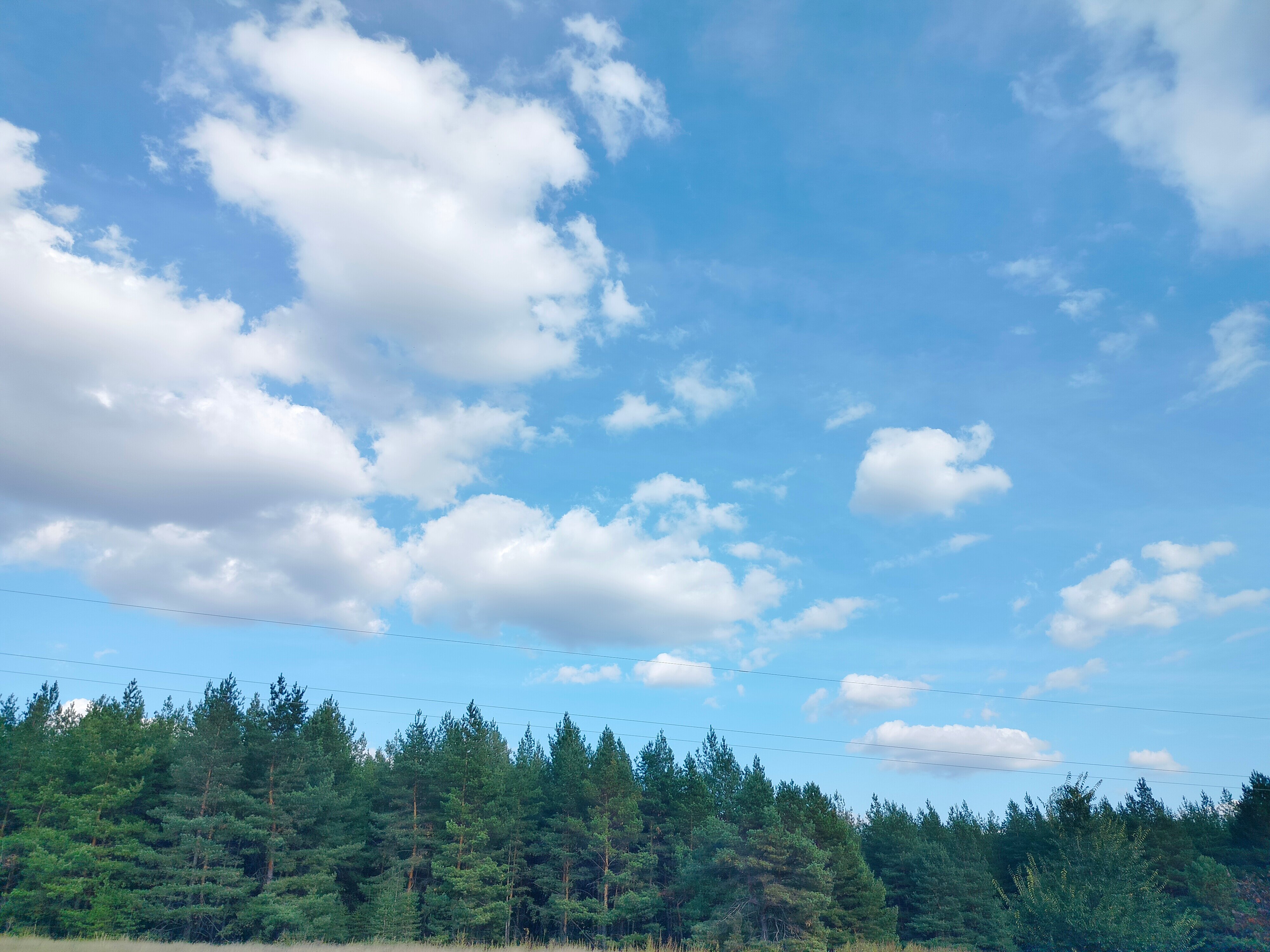 Фото Сосновая Стрит