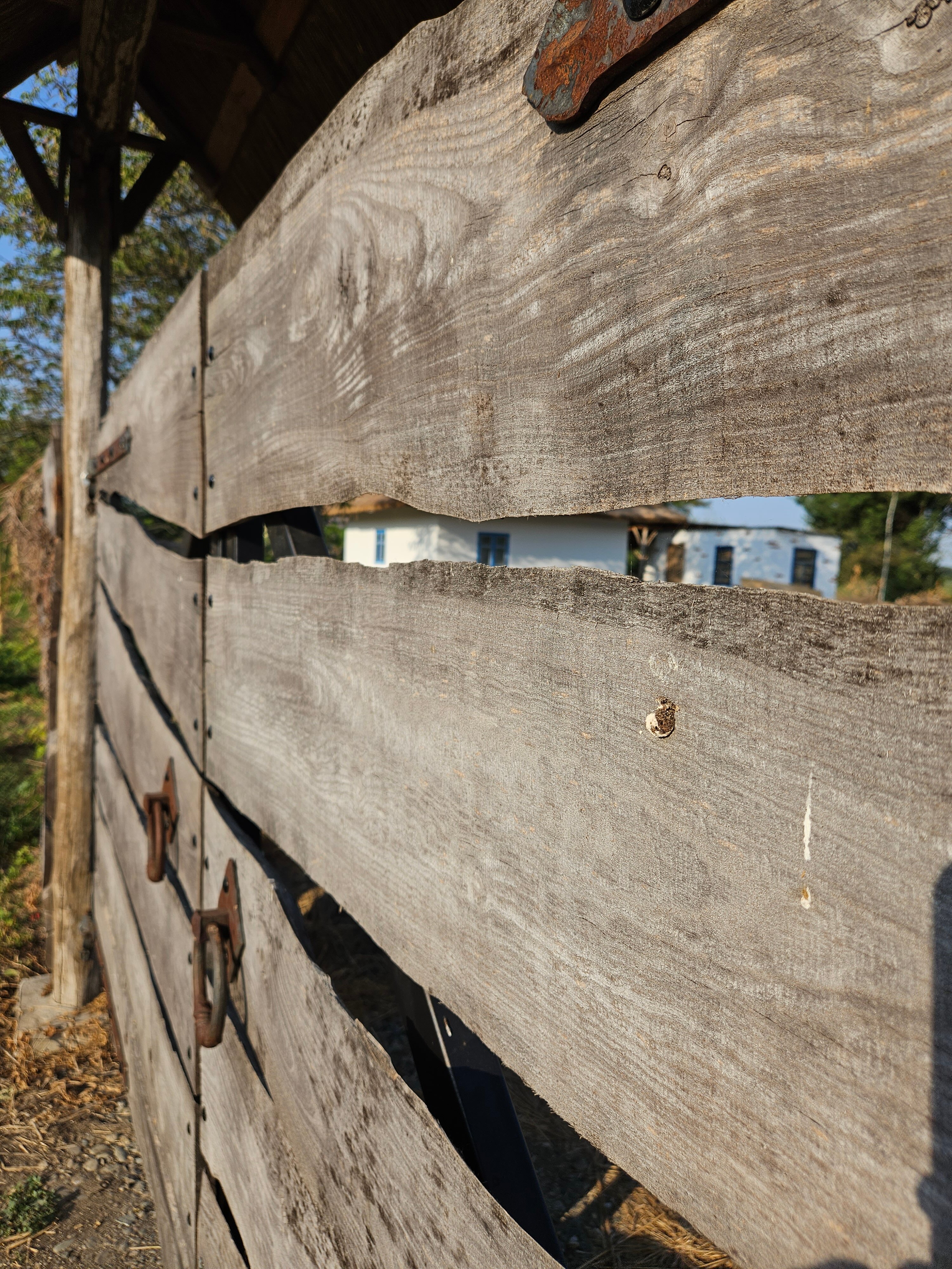 Фото Кубанский хуторок