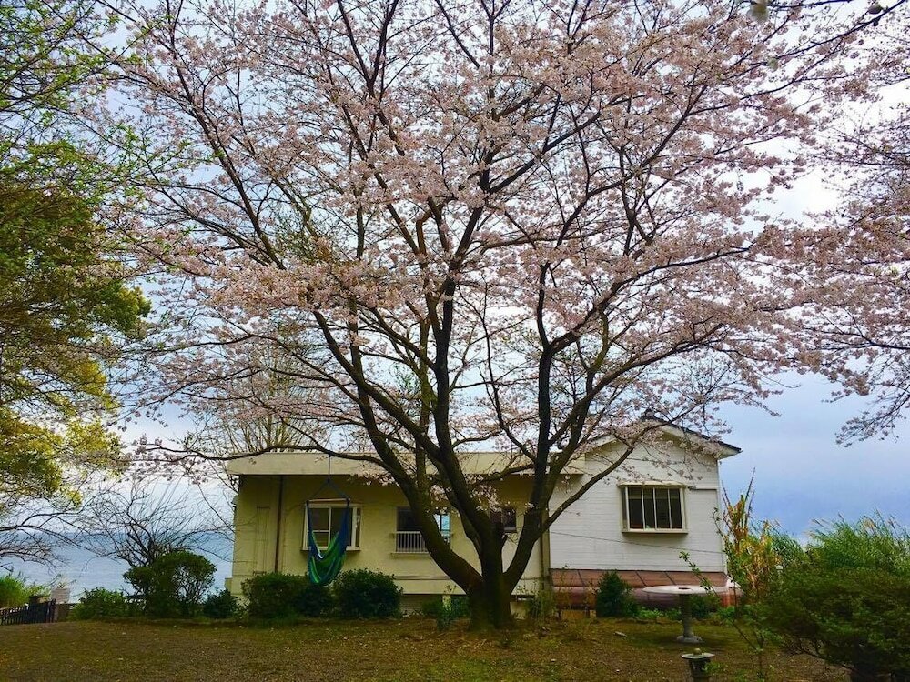 Фото Sakura Beach Garden