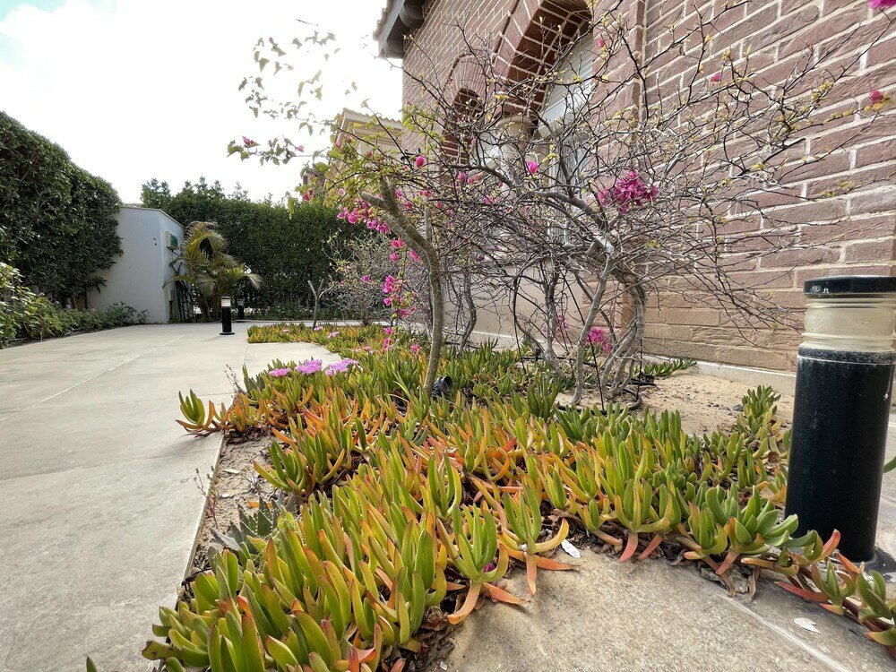 Фото Marassi North Coast Villa Victoria 54