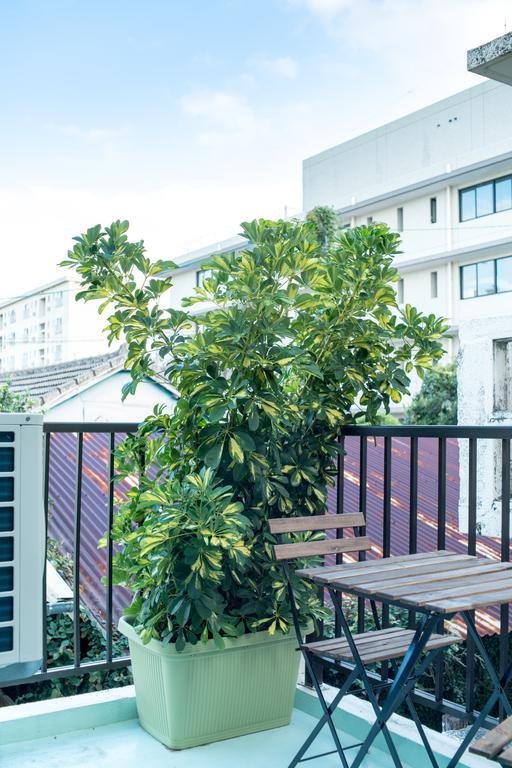 Фото La Passione