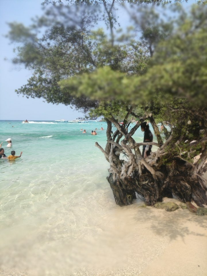 Фото Camelot Hotel Pattaya