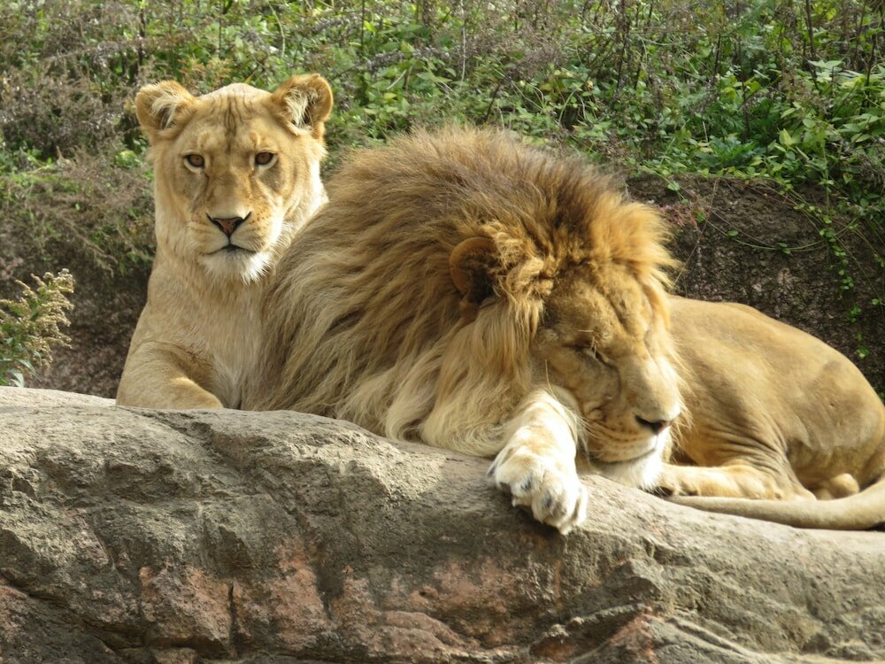 Фото Miyako City Osaka Tennoji