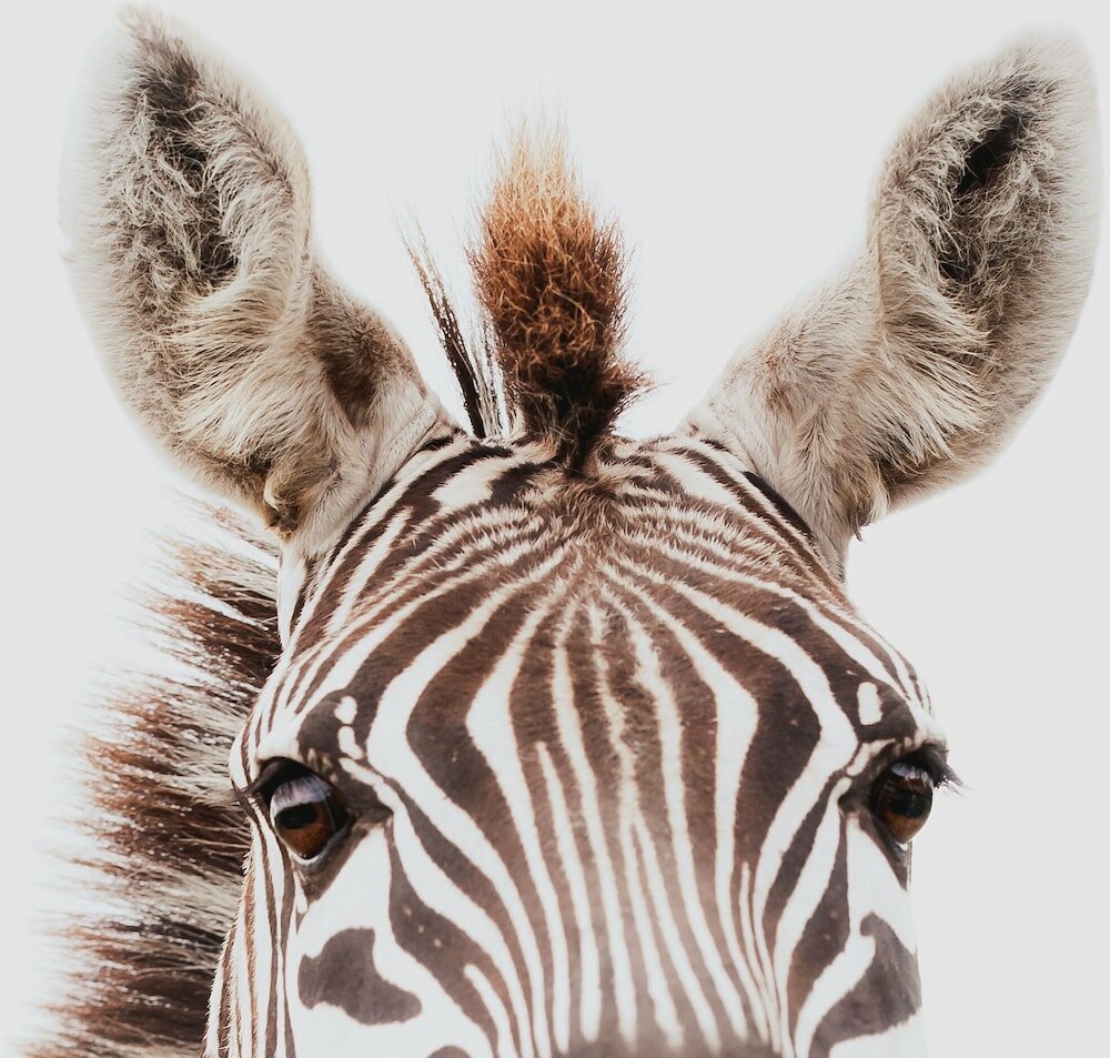 Фото Blue Hills Ranch