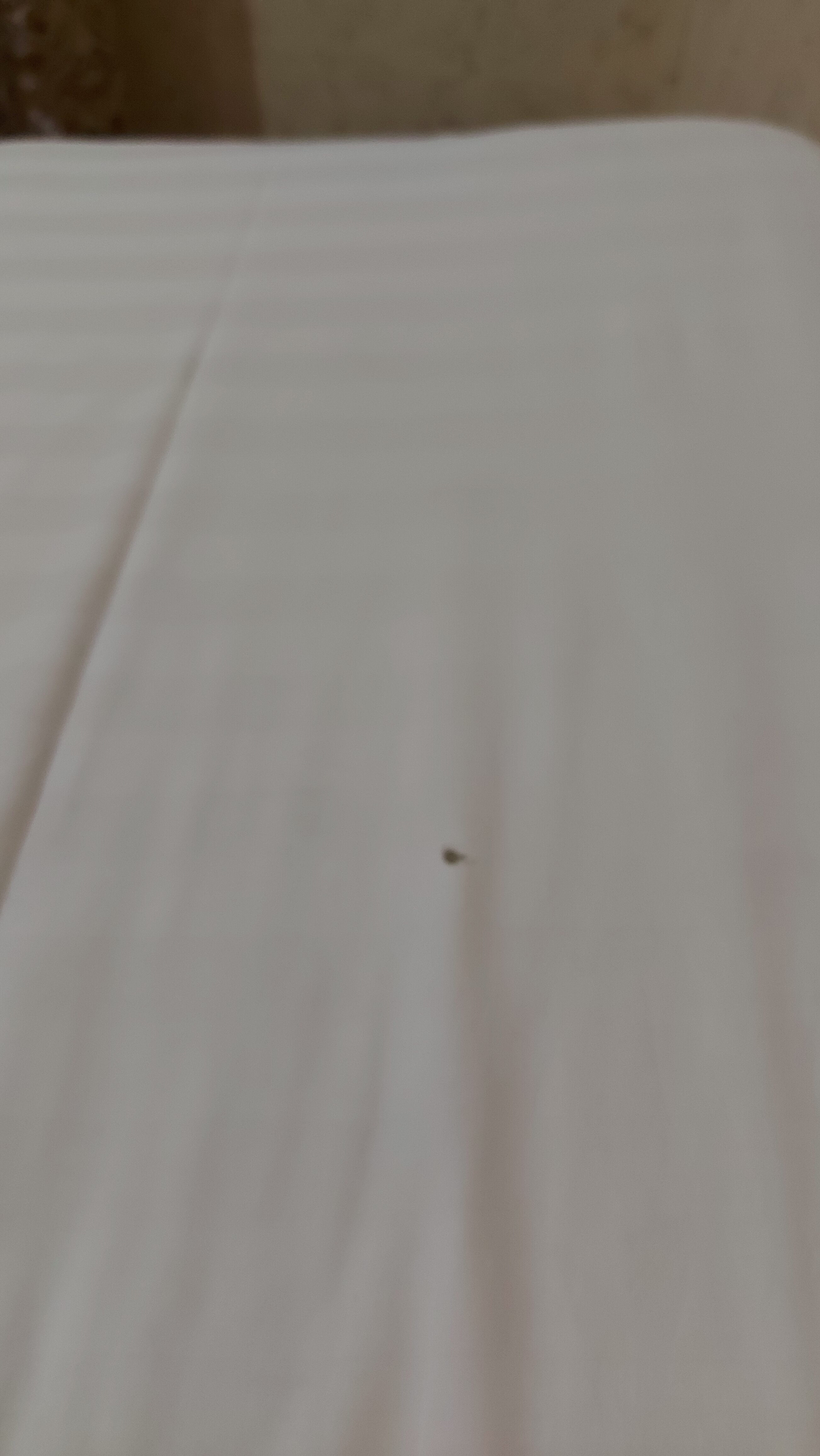 Фото Пульсар