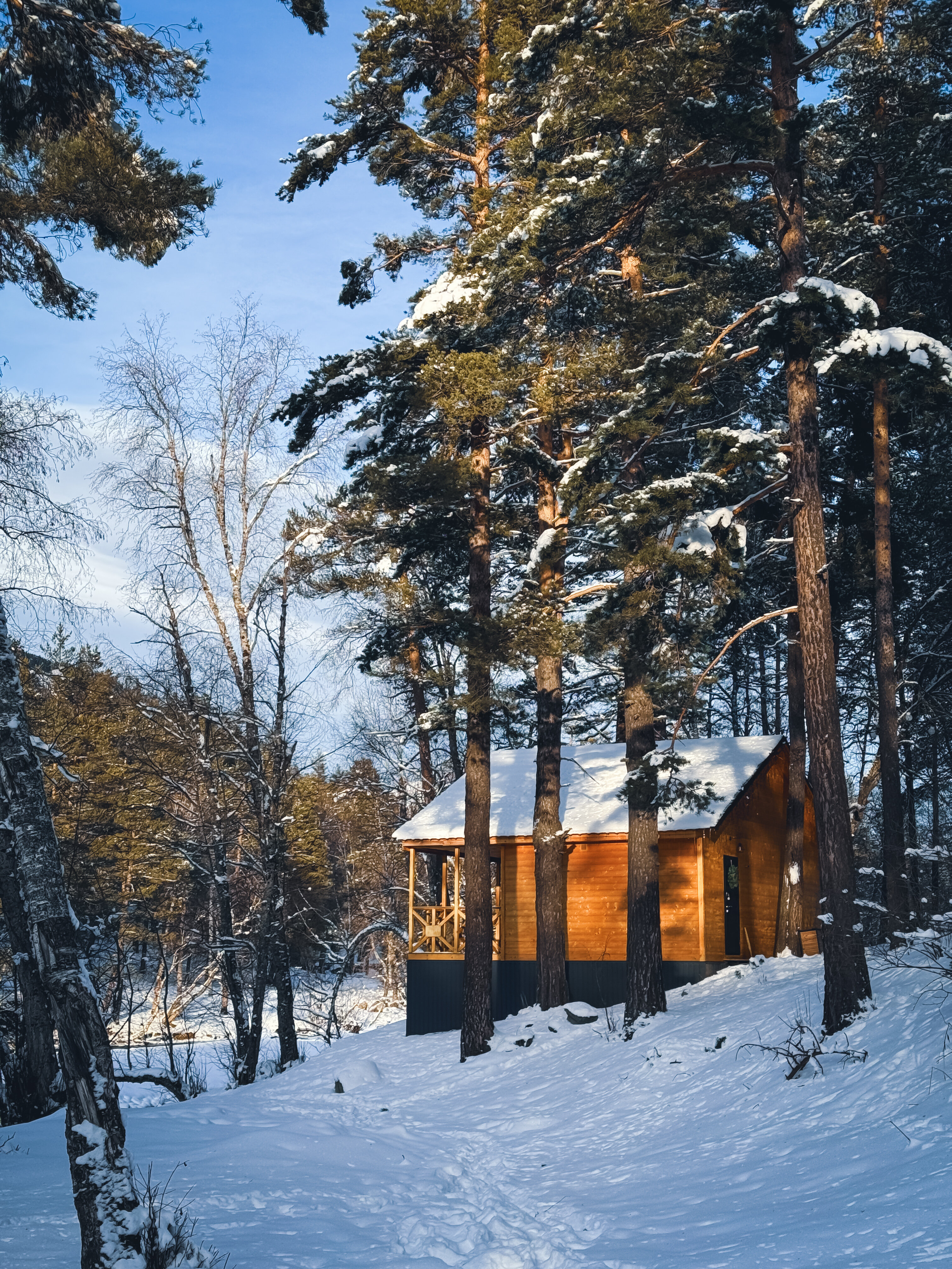 Фото Шале Хвоя